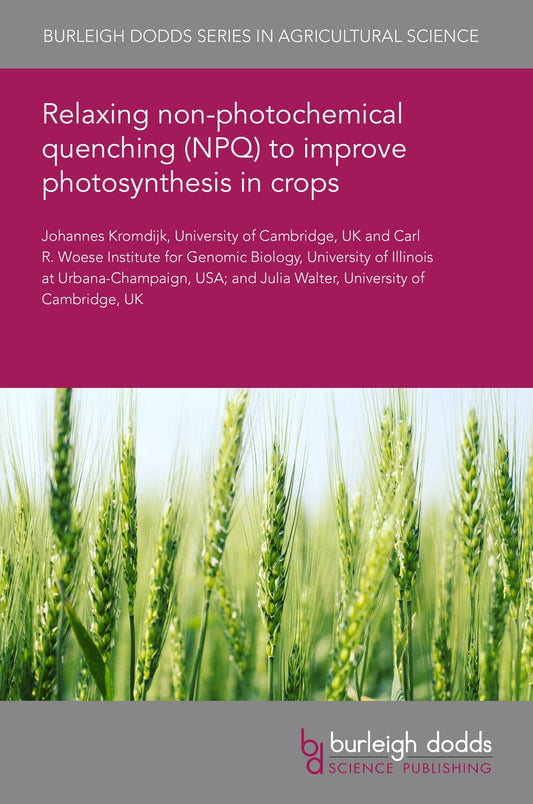 Relaxing non-photochemical quenching (NPQ) to improve photosynthesis in crops