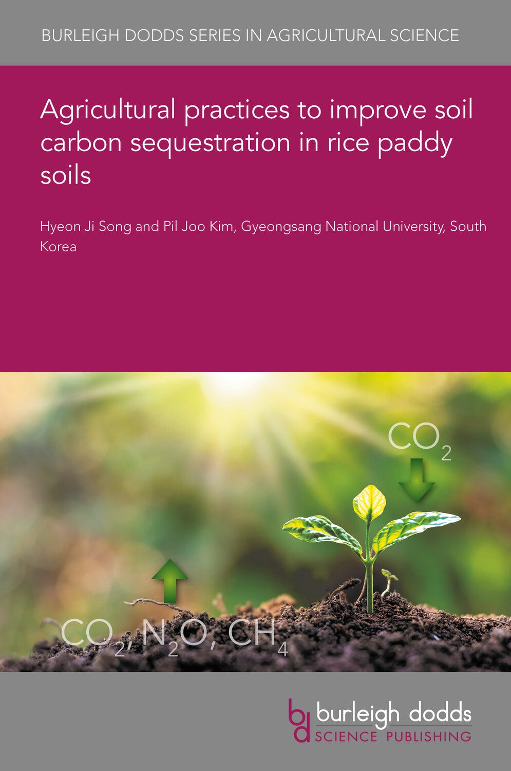 Agricultural practices to improve soil carbon sequestration in rice paddy soils
