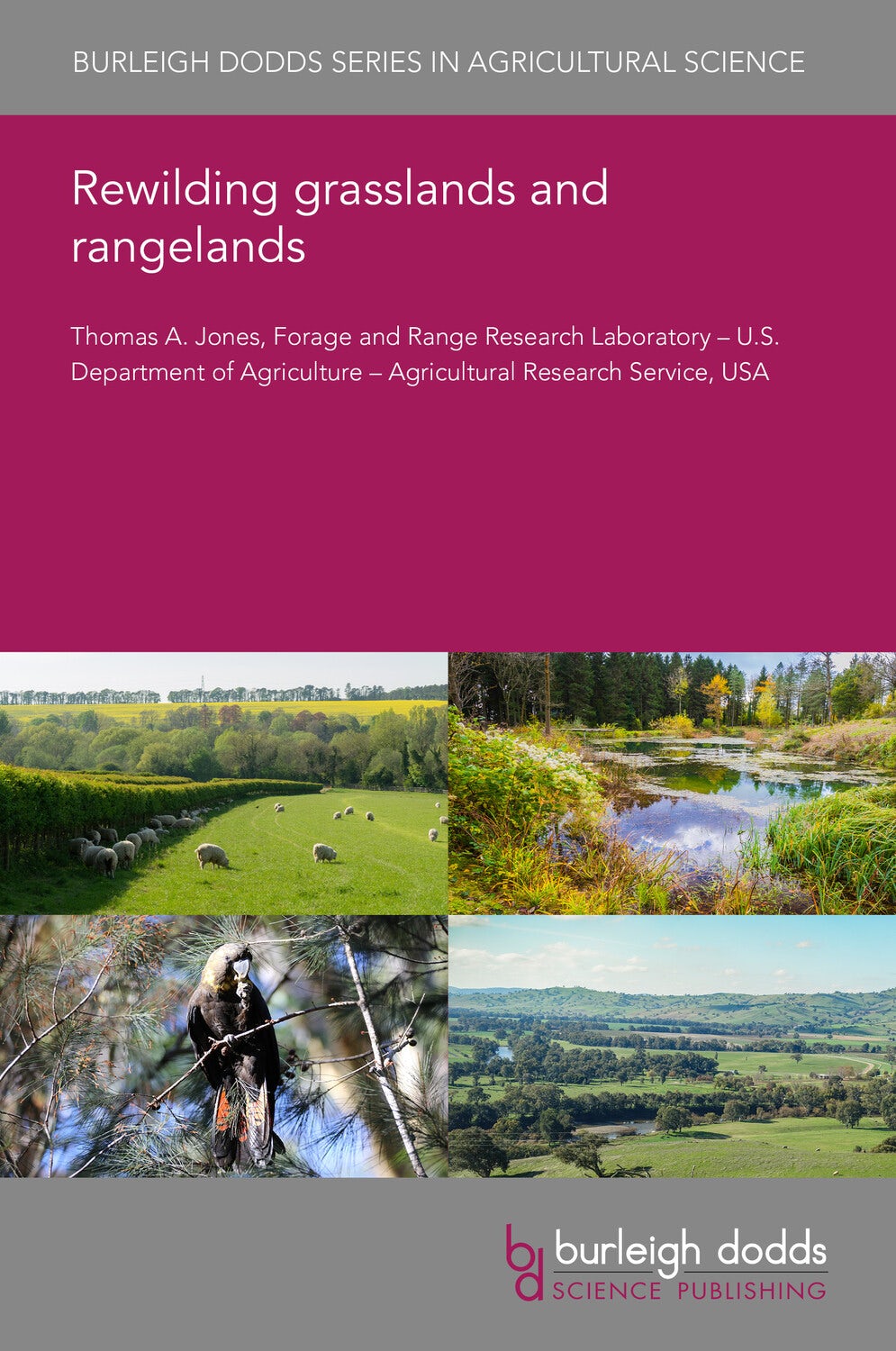 Rewilding grasslands and rangelands