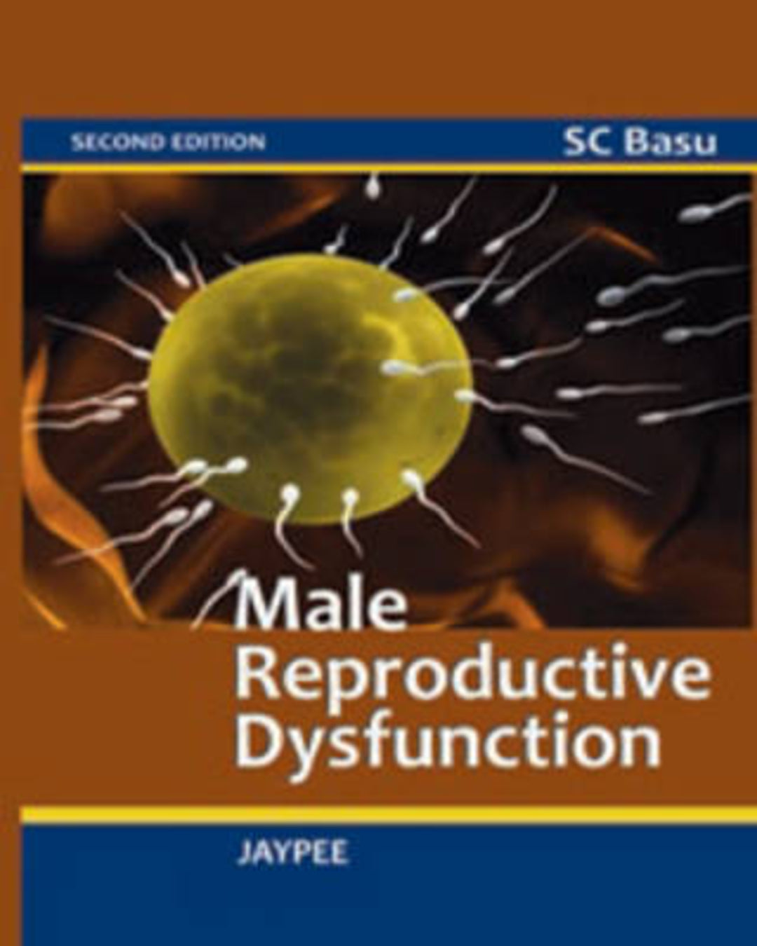 Cover image for Male Reproductive Dysfunction ISBN 9789350252208