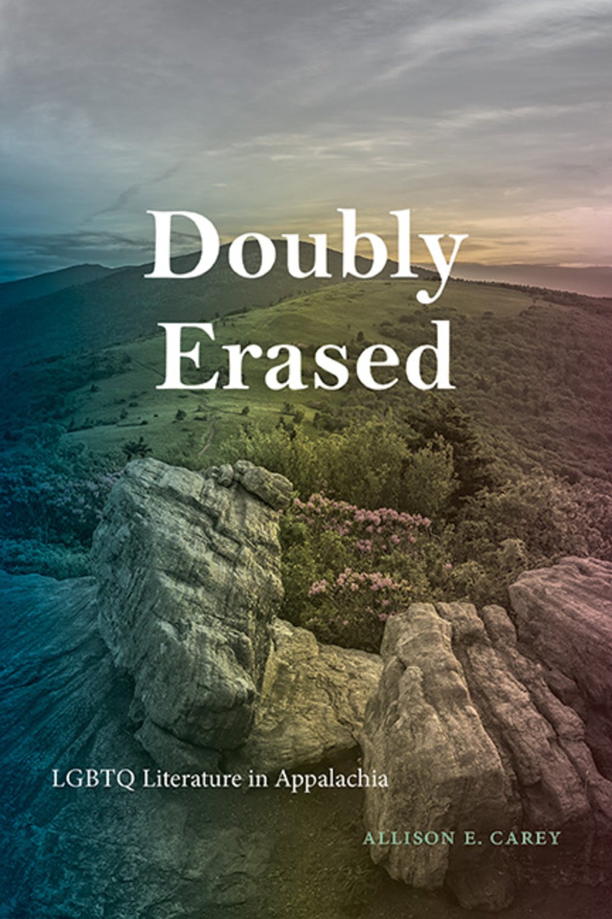 Cover image for Doubly Erased ISBN 9781438493565