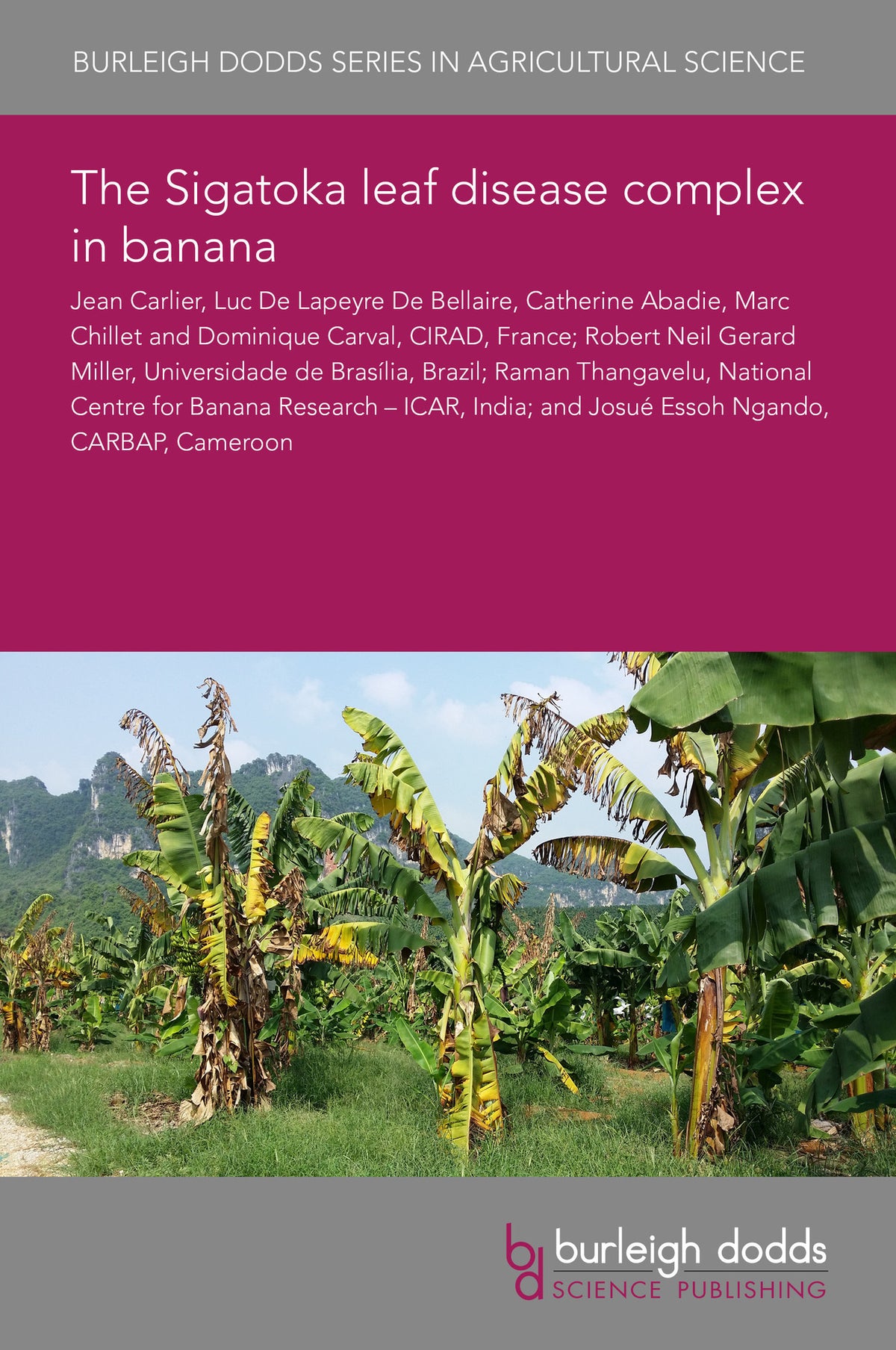 The Sigatoka leaf disease complex in banana