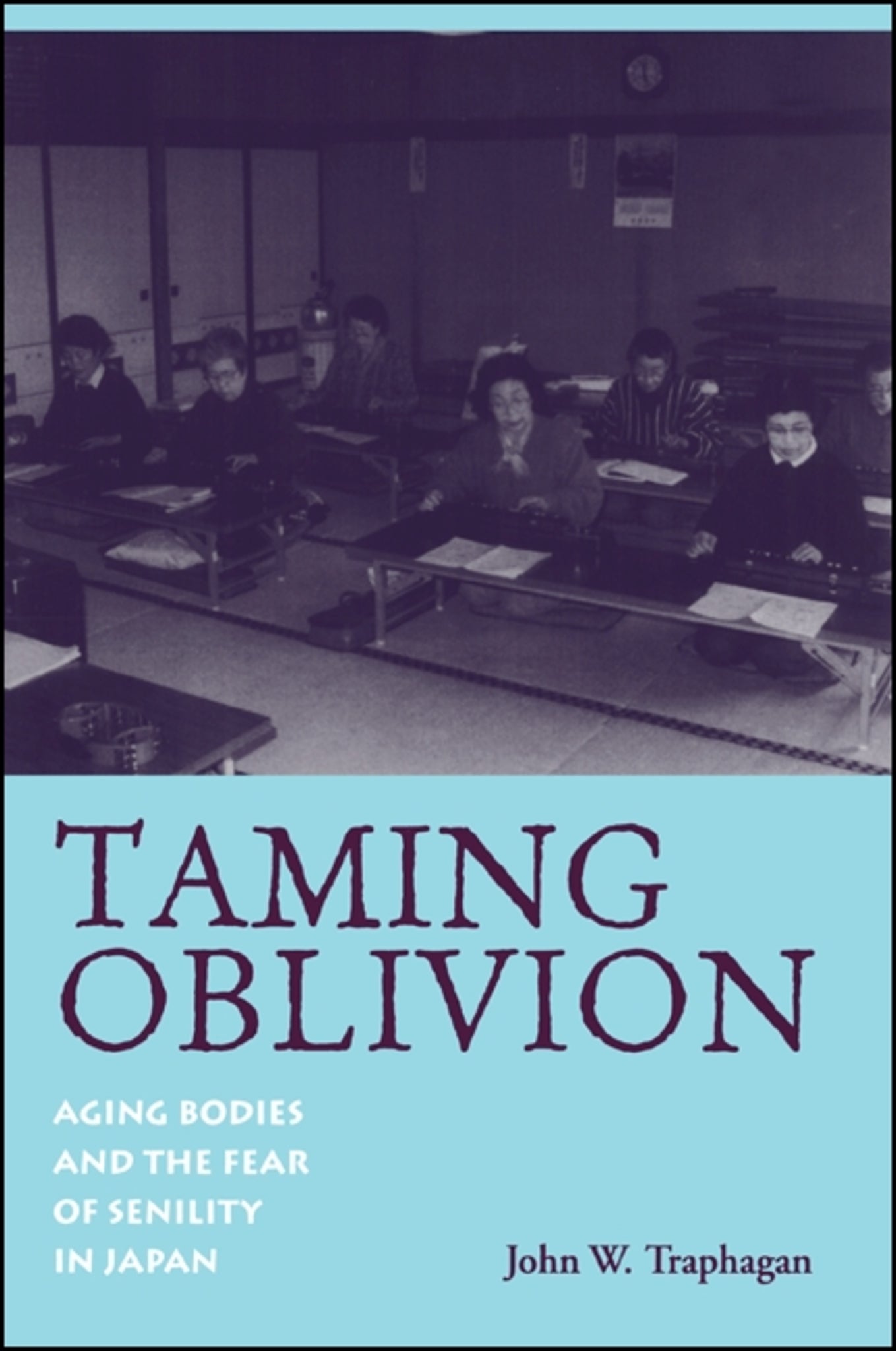 Cover image for Taming Oblivion ISBN 9780791445006