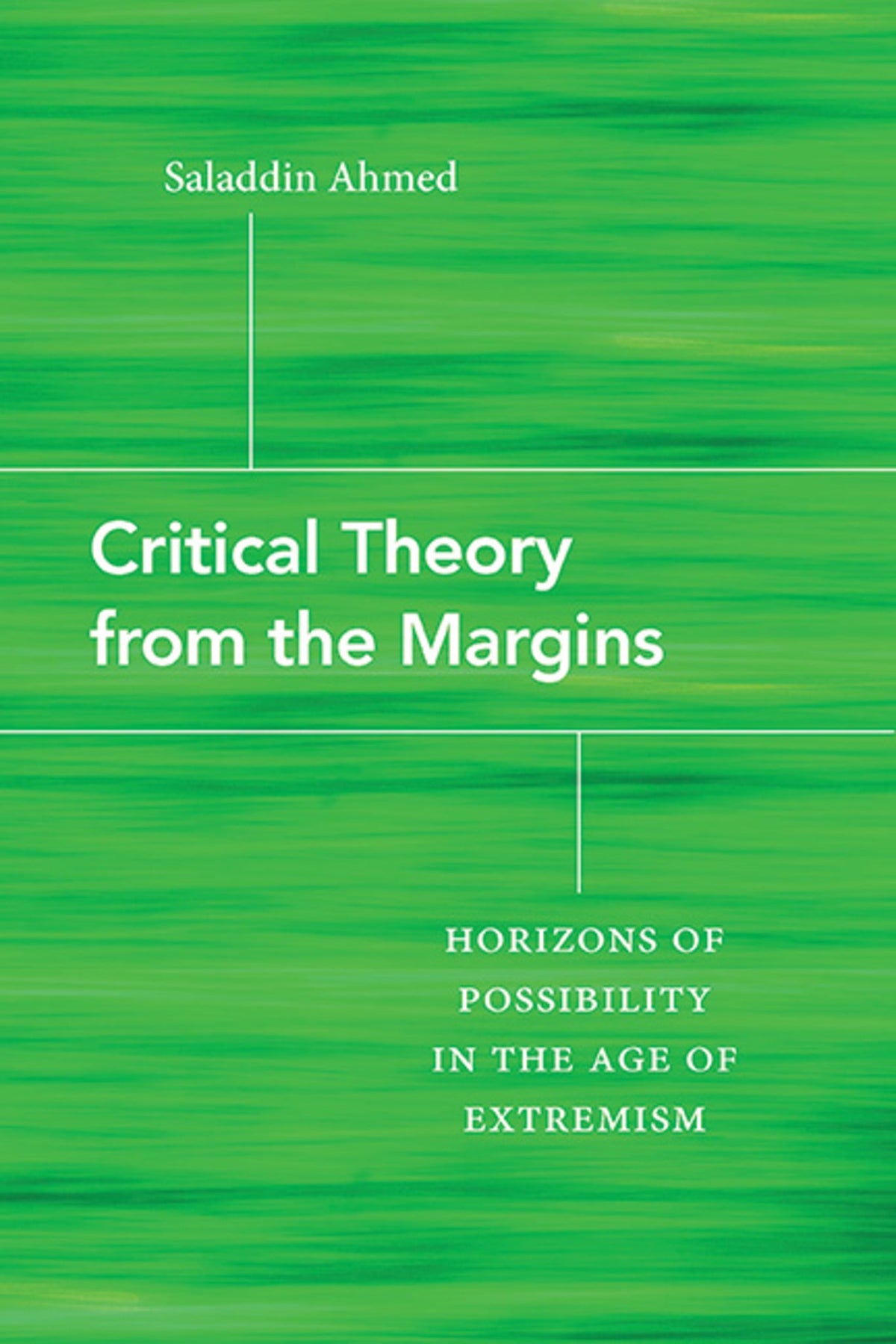 Cover image for Critical Theory from the Margins ISBN 9781438494319