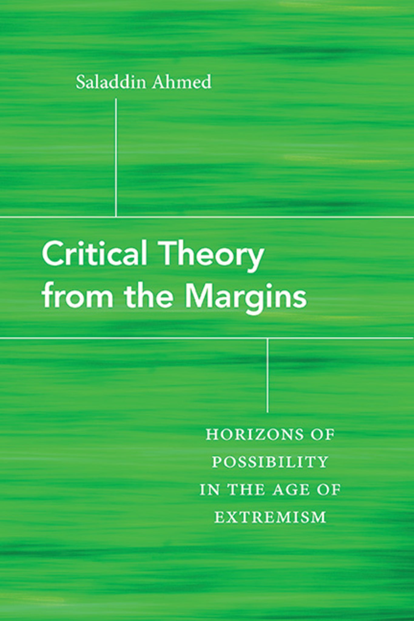 Cover image for Critical Theory from the Margins ISBN 9781438494319