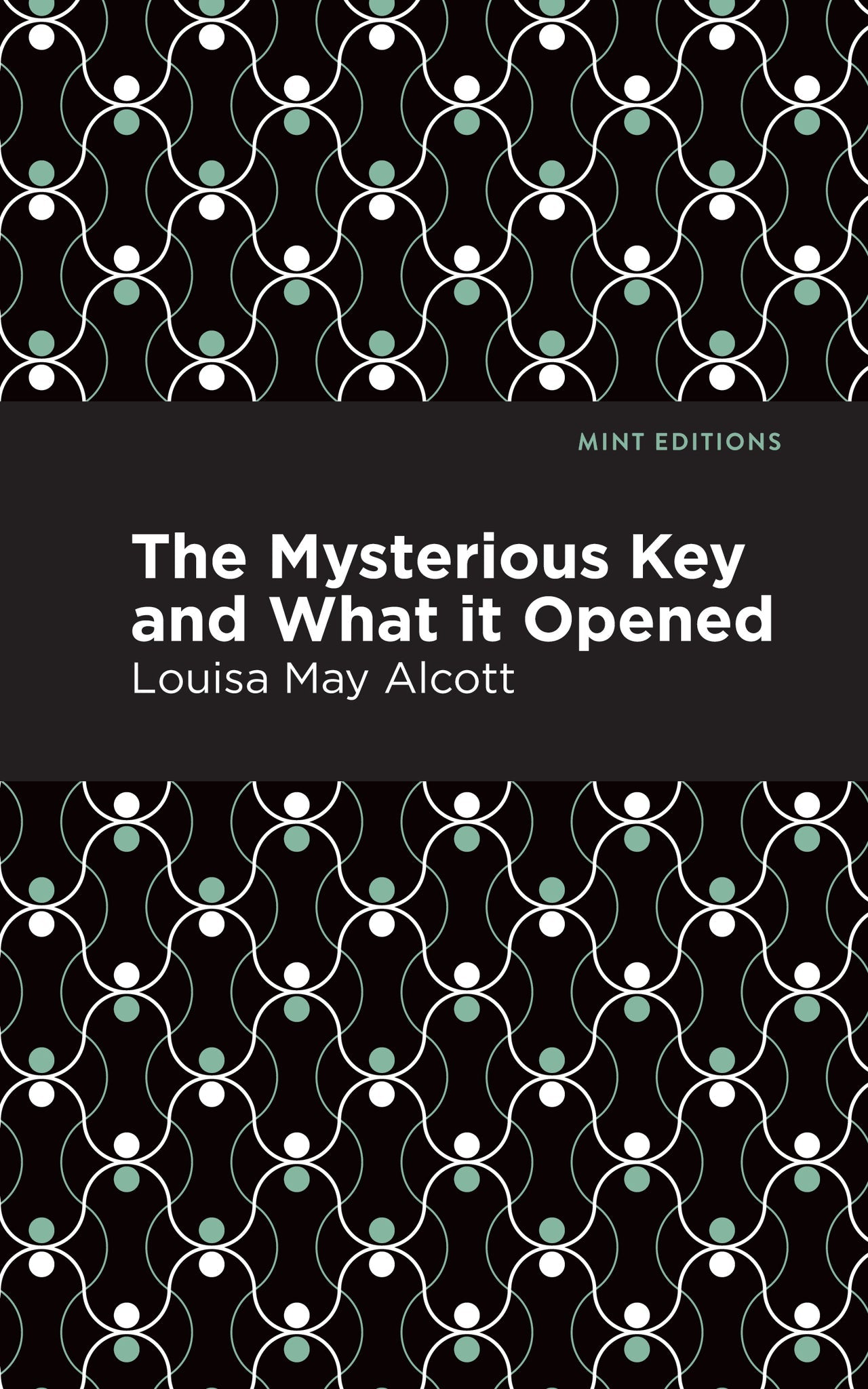 Cover image for The Mysterious Key and What it Opened ISBN 9798888973653