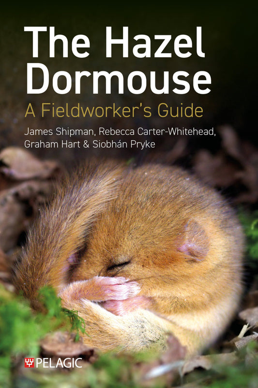 The Hazel Dormouse