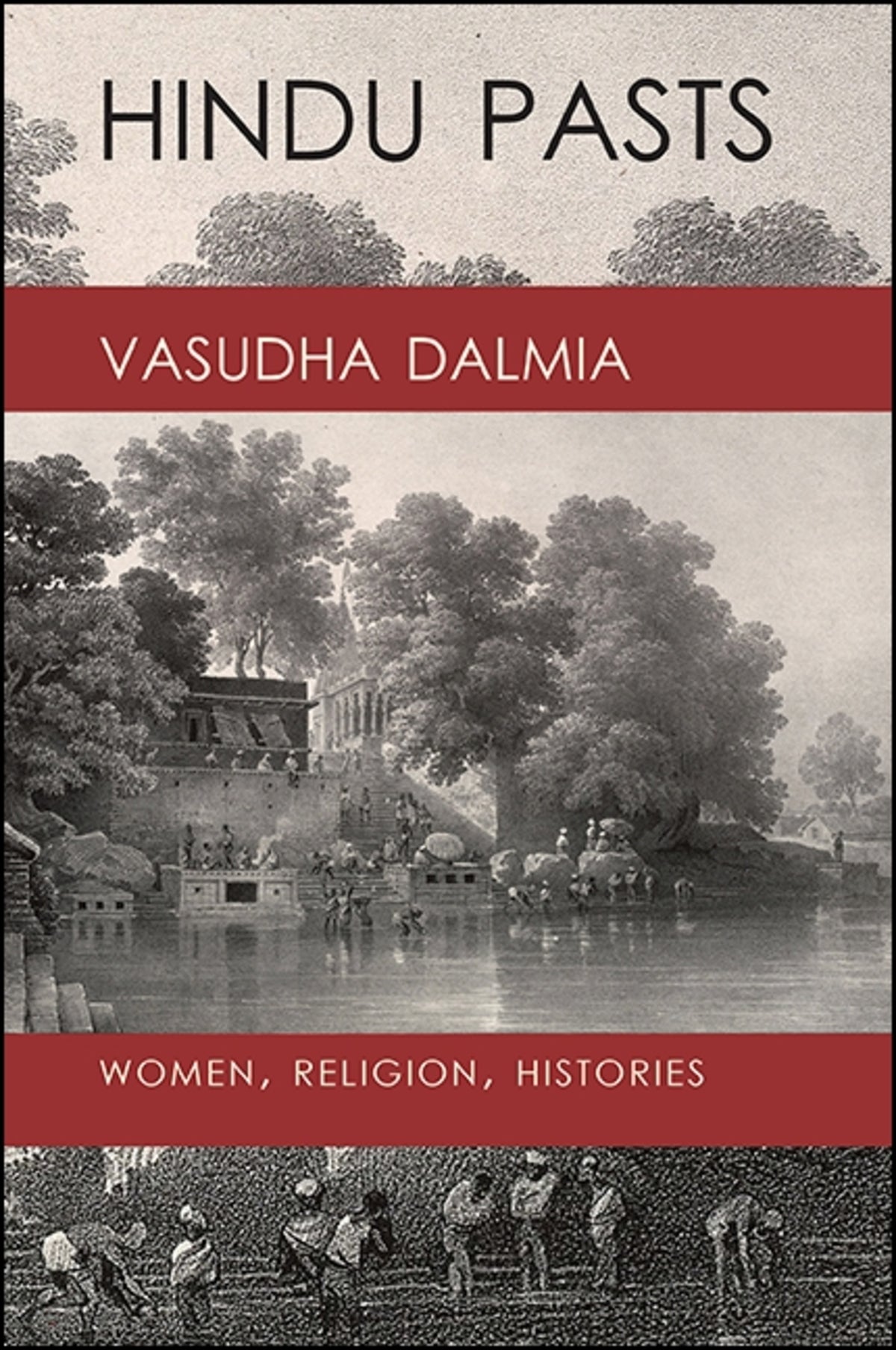 Cover image for Hindu Pasts ISBN 9781438468051