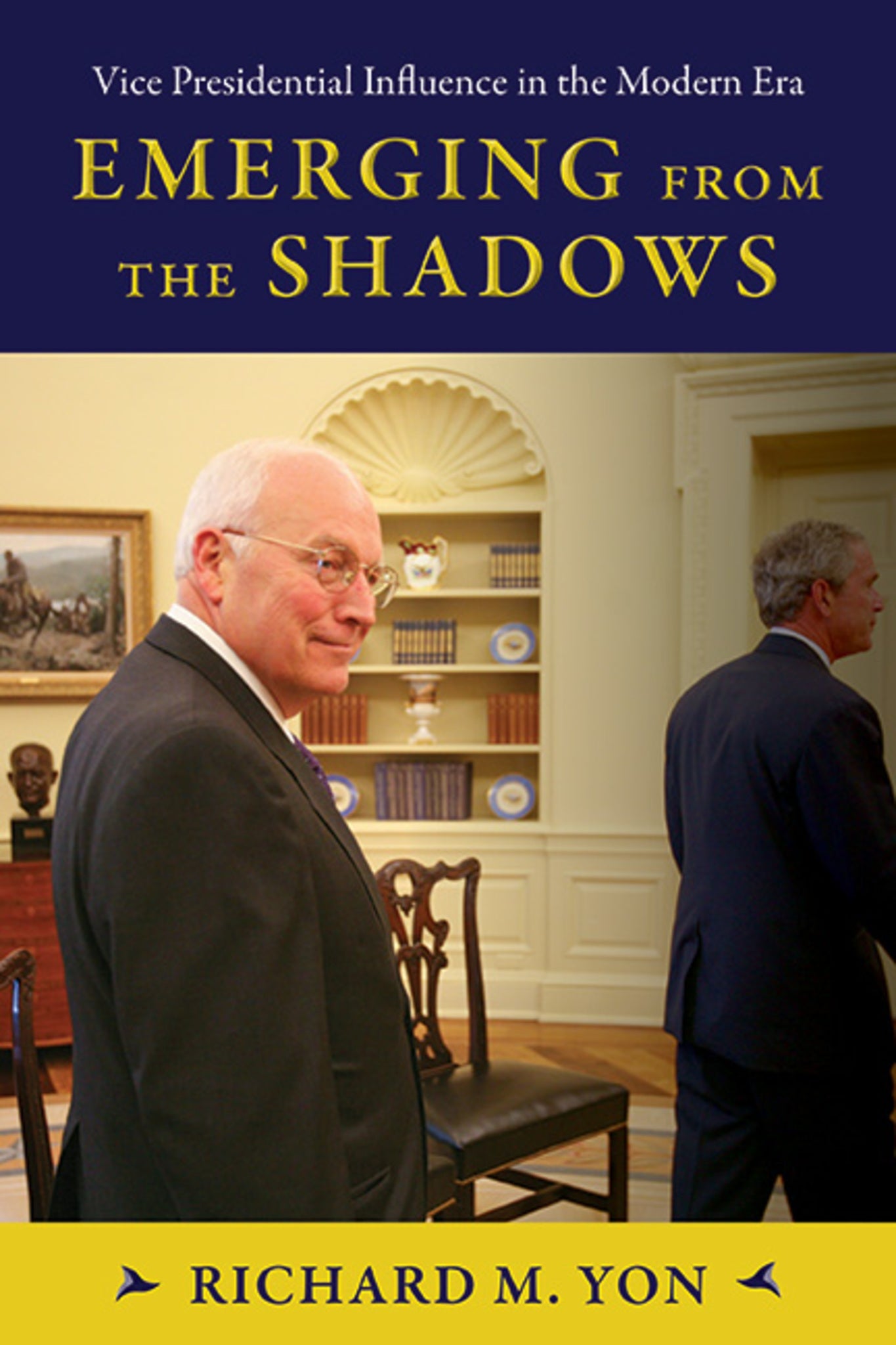 Cover image for Emerging from the Shadows ISBN 9781438496108