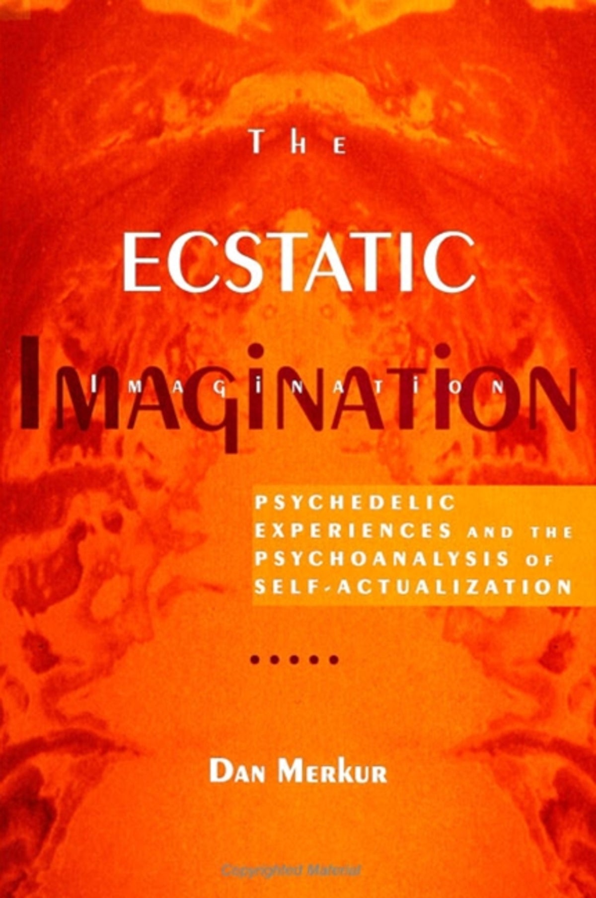 Cover image for The Ecstatic Imagination ISBN 9780791436066
