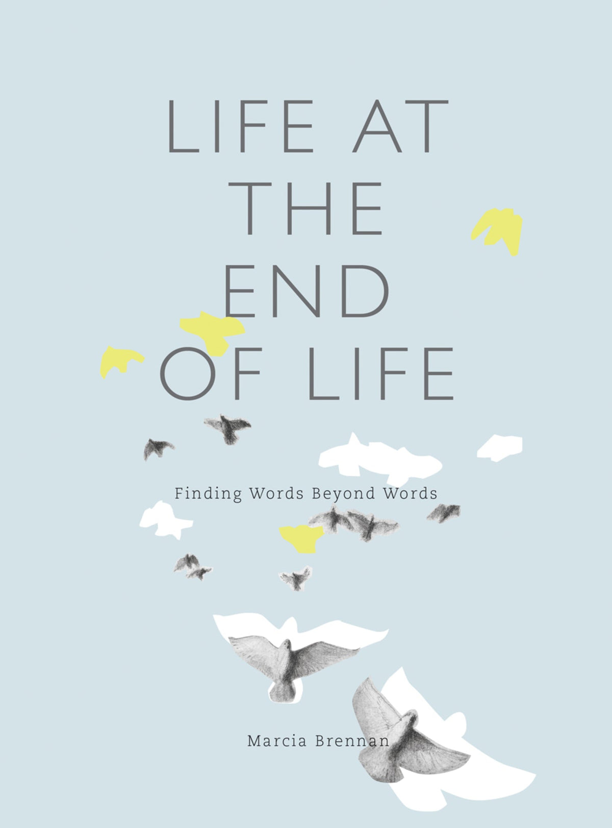 Cover image for Life at the End of Life ISBN 9781783206995