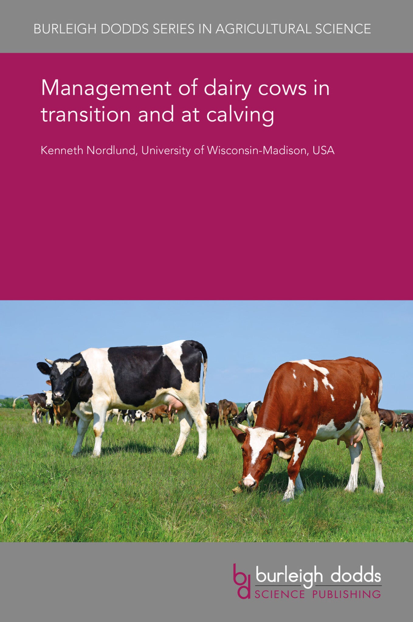 Management of dairy cows in transition and at calving