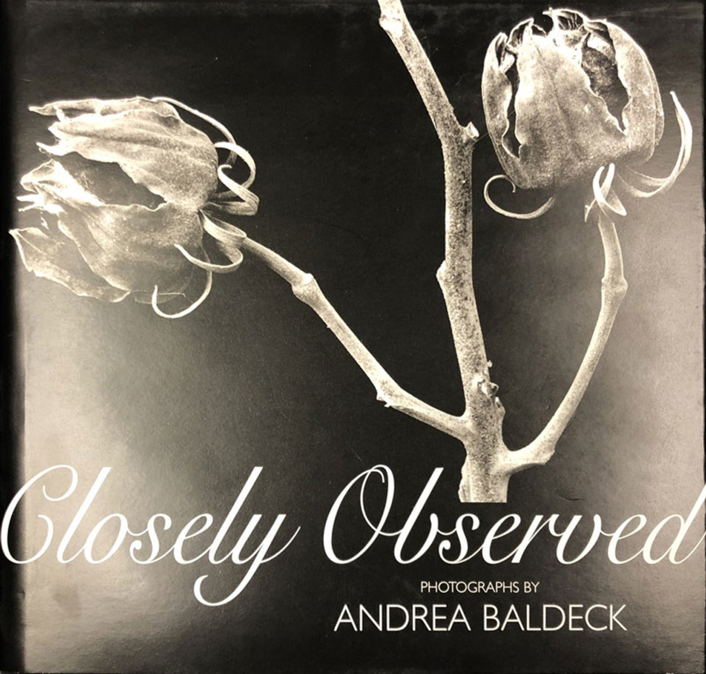 Closely Observed