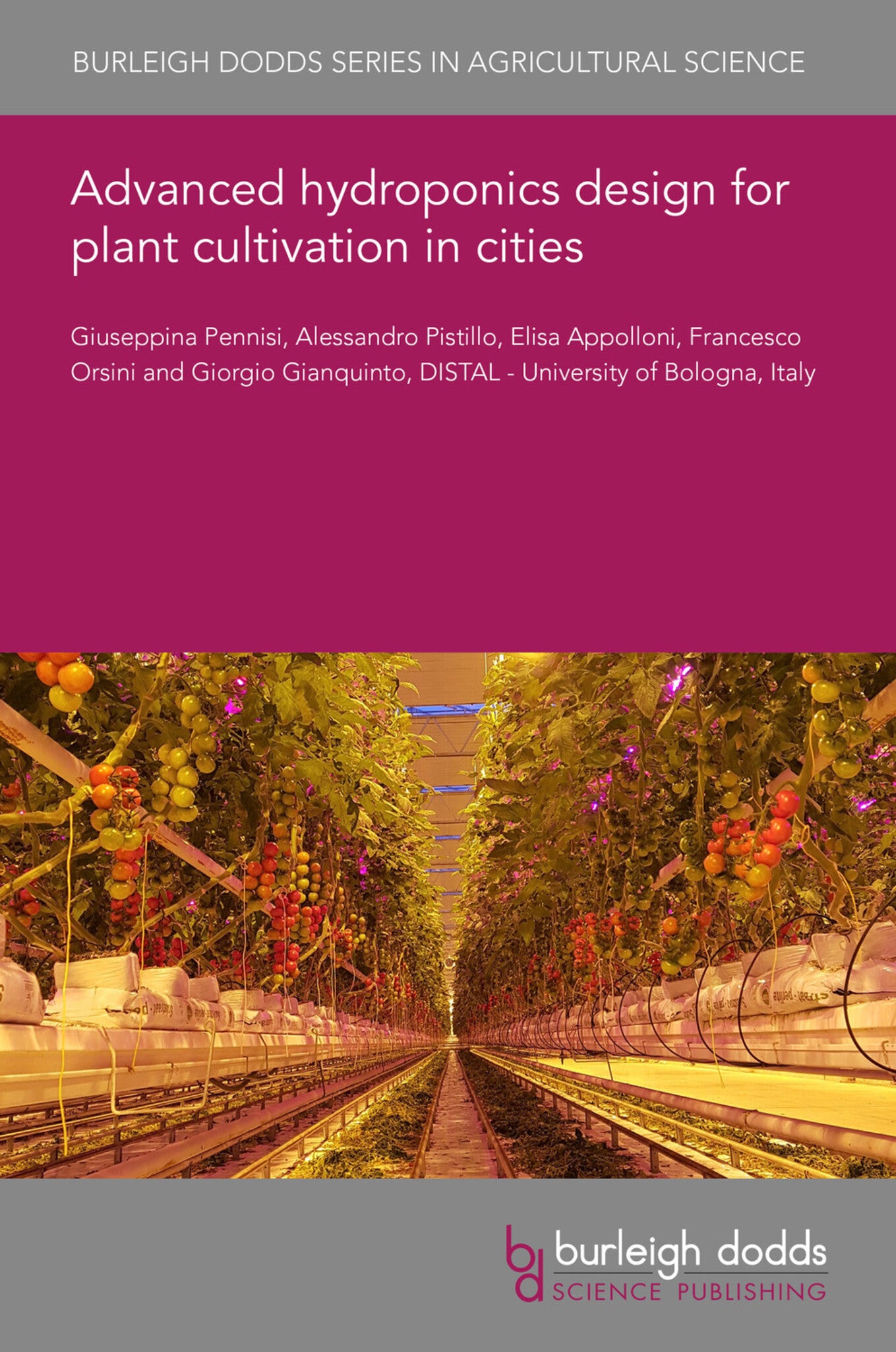 Advanced hydroponics design for plant cultivation in cities