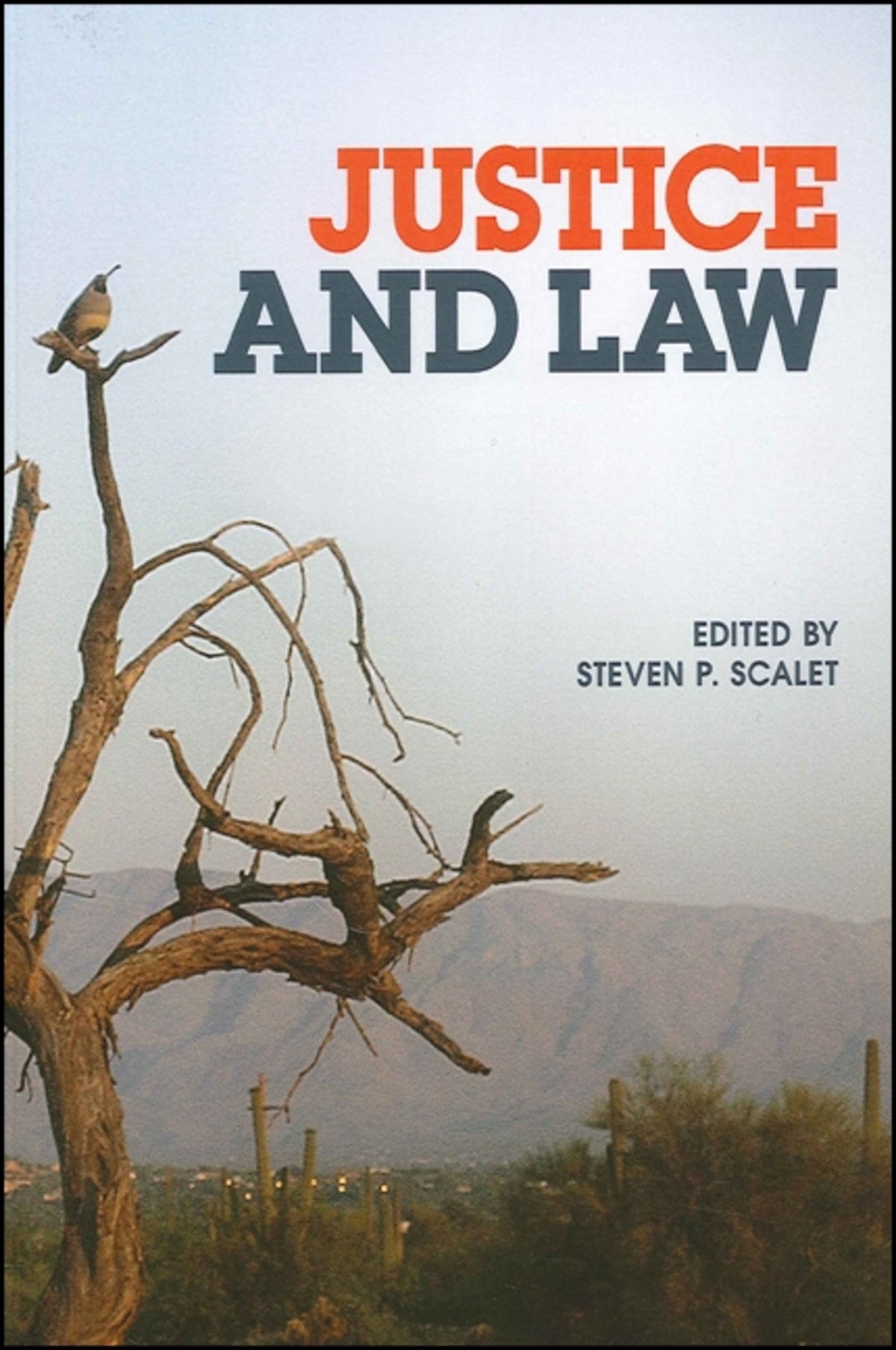 Cover image for Justice and Law ISBN 9781586842727