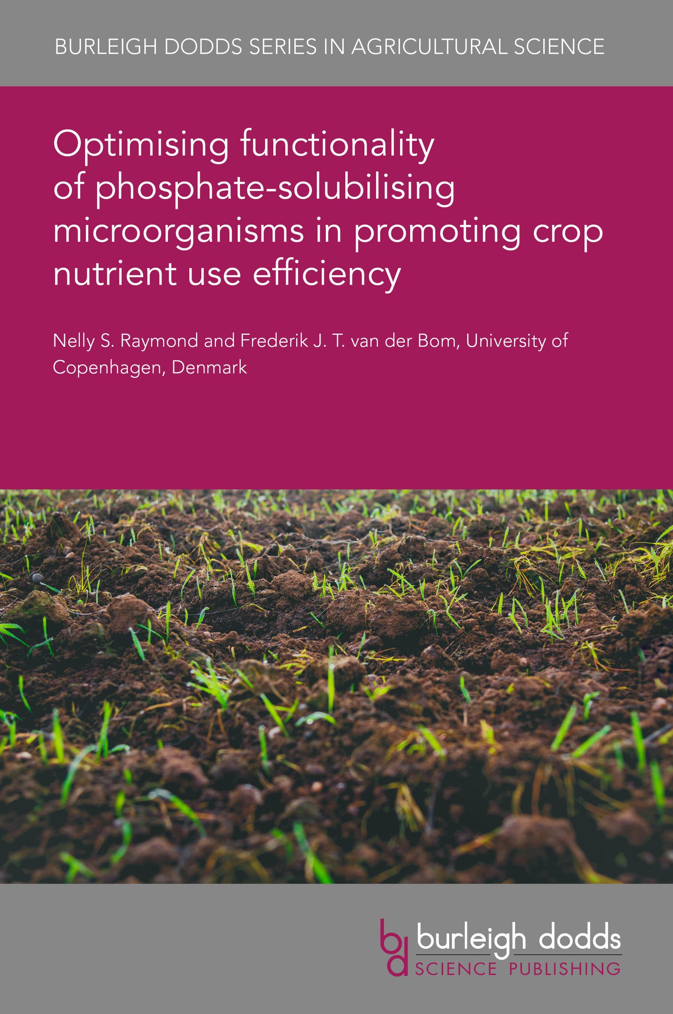 Optimising functionality of phosphate-solubilising microorganisms in promoting crop nutrient use efficiency
