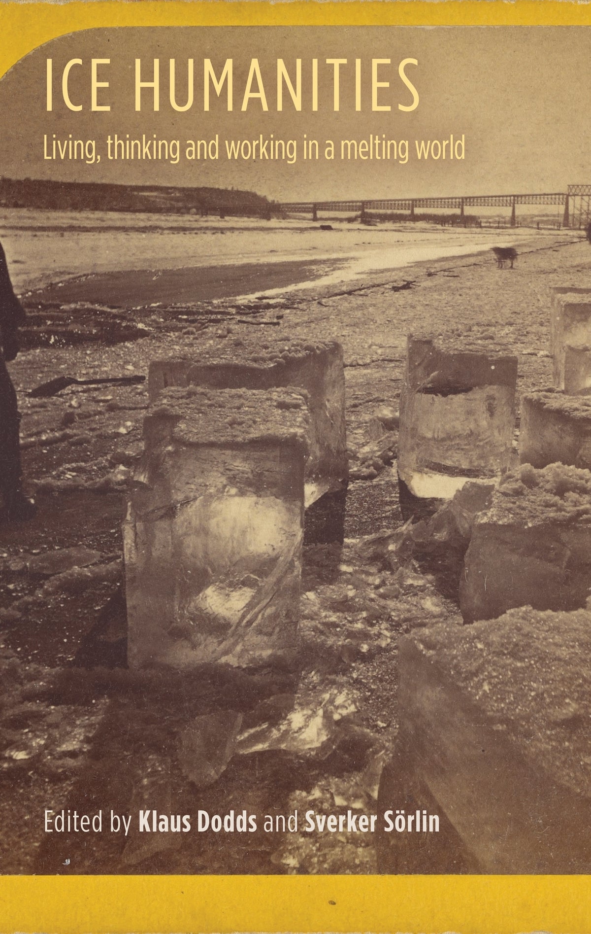Cover image for Ice humanities ISBN 9781526157775