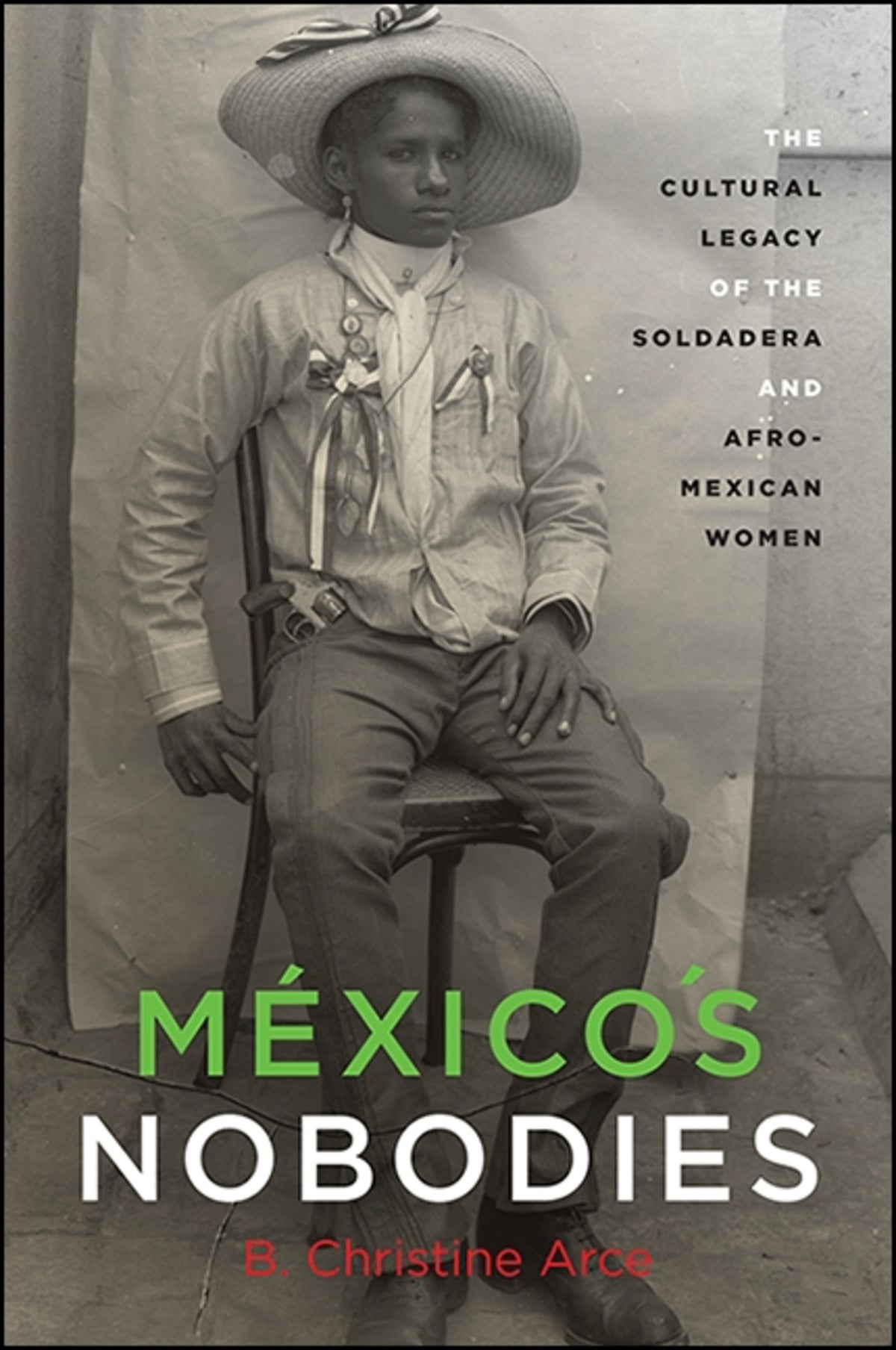 Cover image for México's Nobodies ISBN 9781438463582