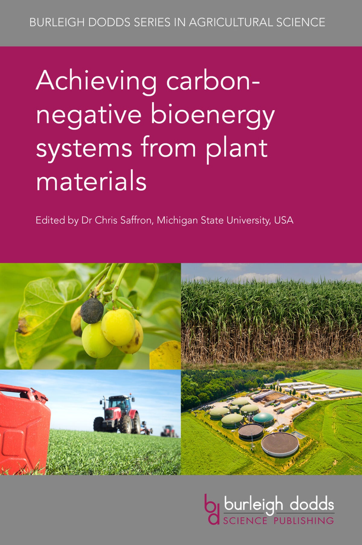 Cover image for Achieving carbon-negative bioenergy systems from plant materials ISBN 9781786762528
