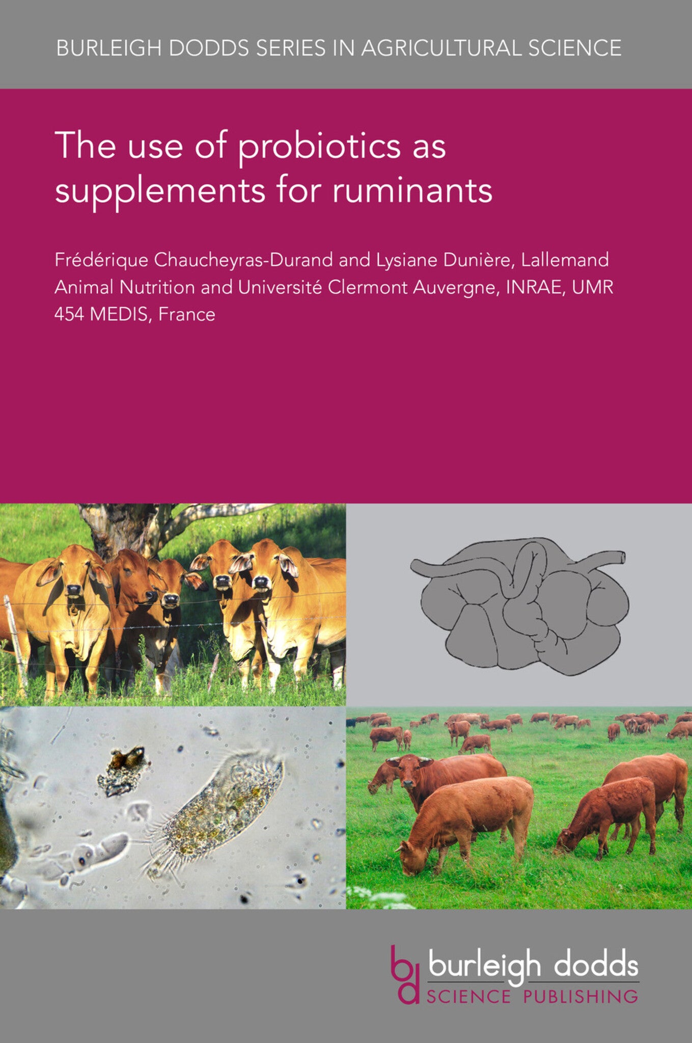 The use of probiotics as supplements for ruminants