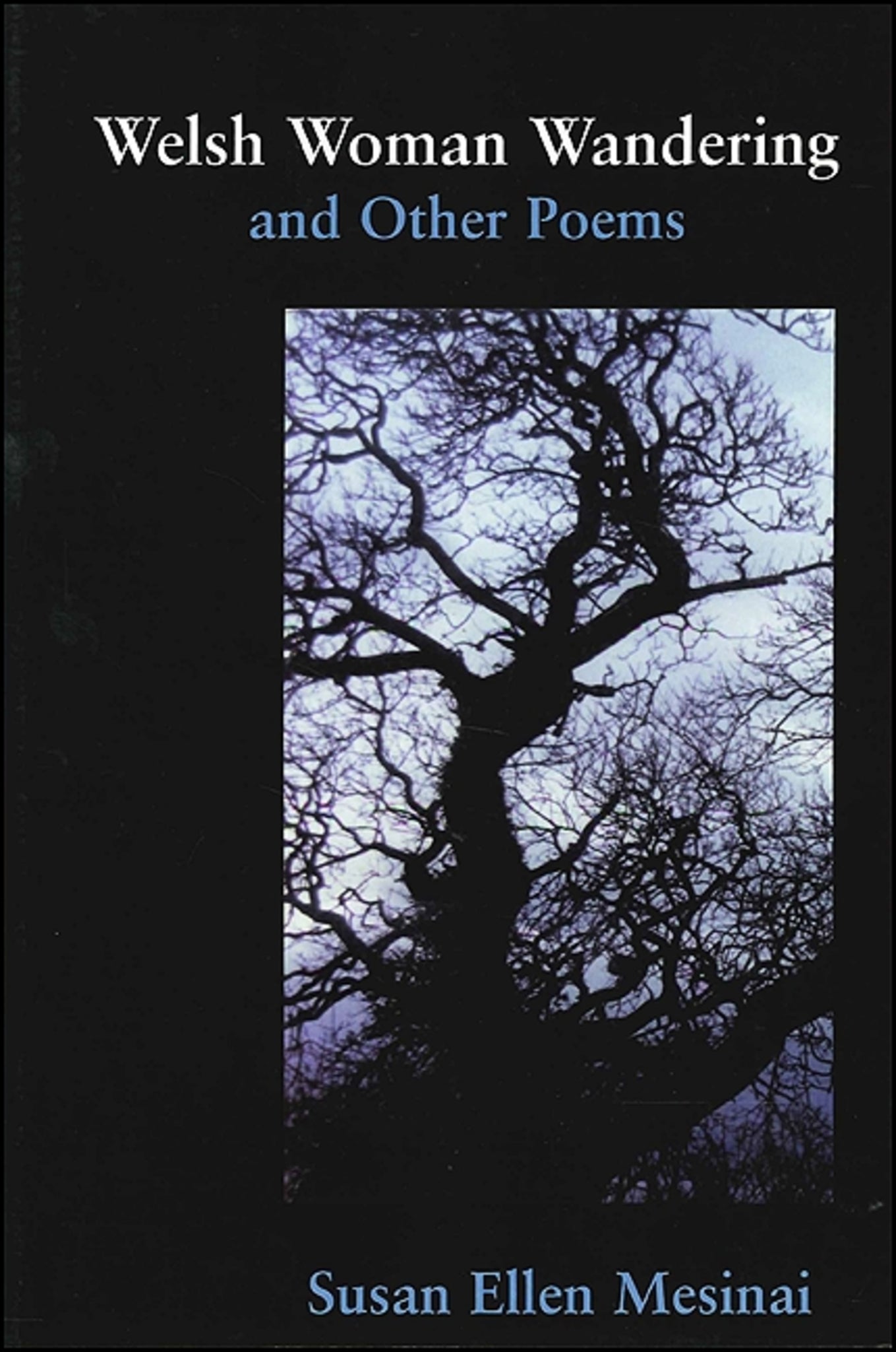 Welsh Woman Wandering and Other Poems