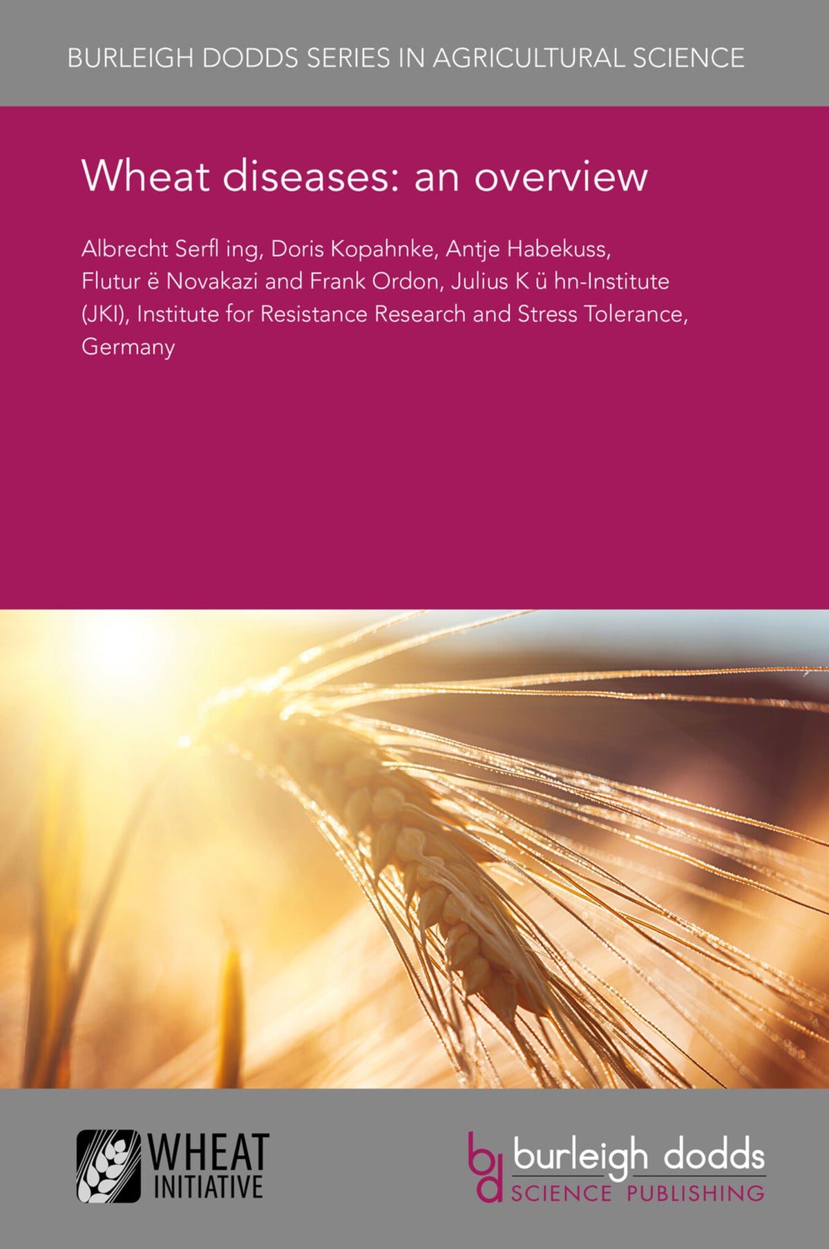 Wheat diseases: an overview
