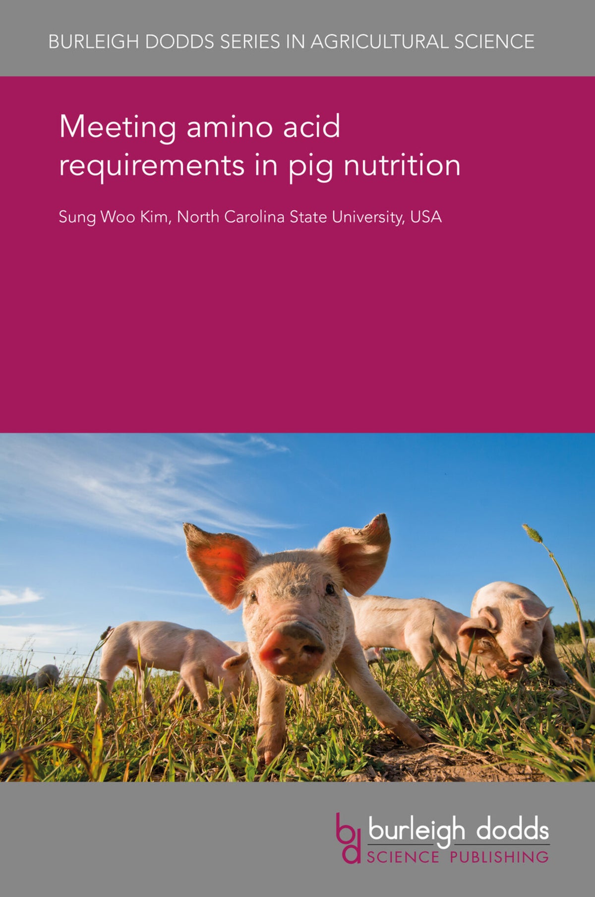 Cover image for Meeting amino acid requirements in pig nutrition ISBN 9781838795085