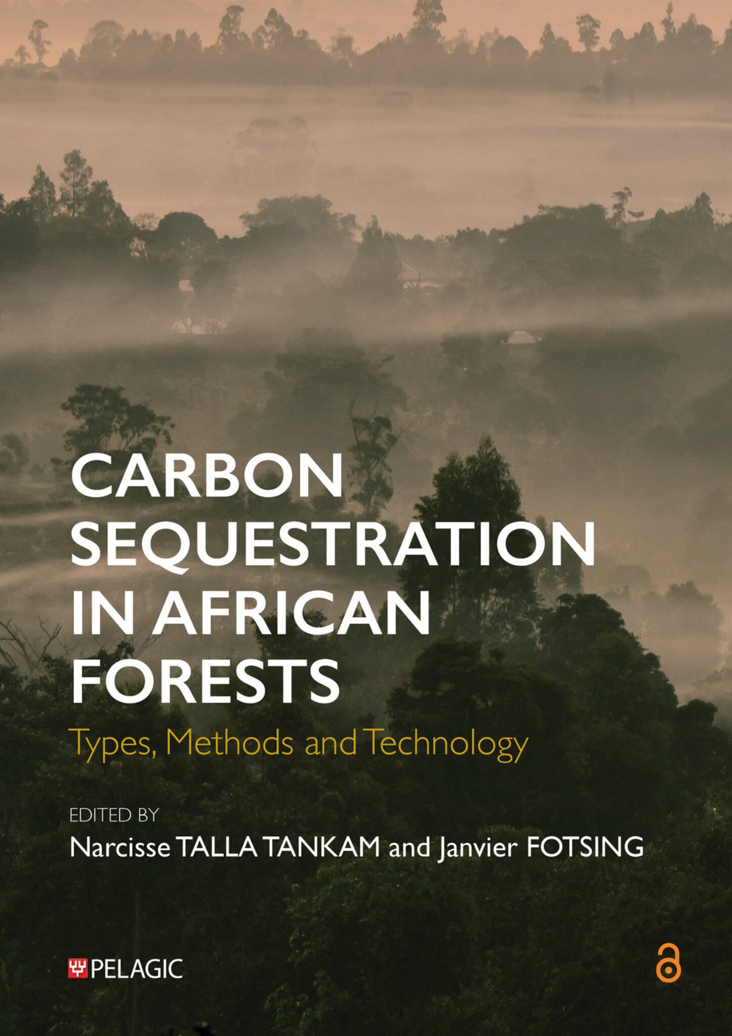 Carbon Sequestration in African Forests