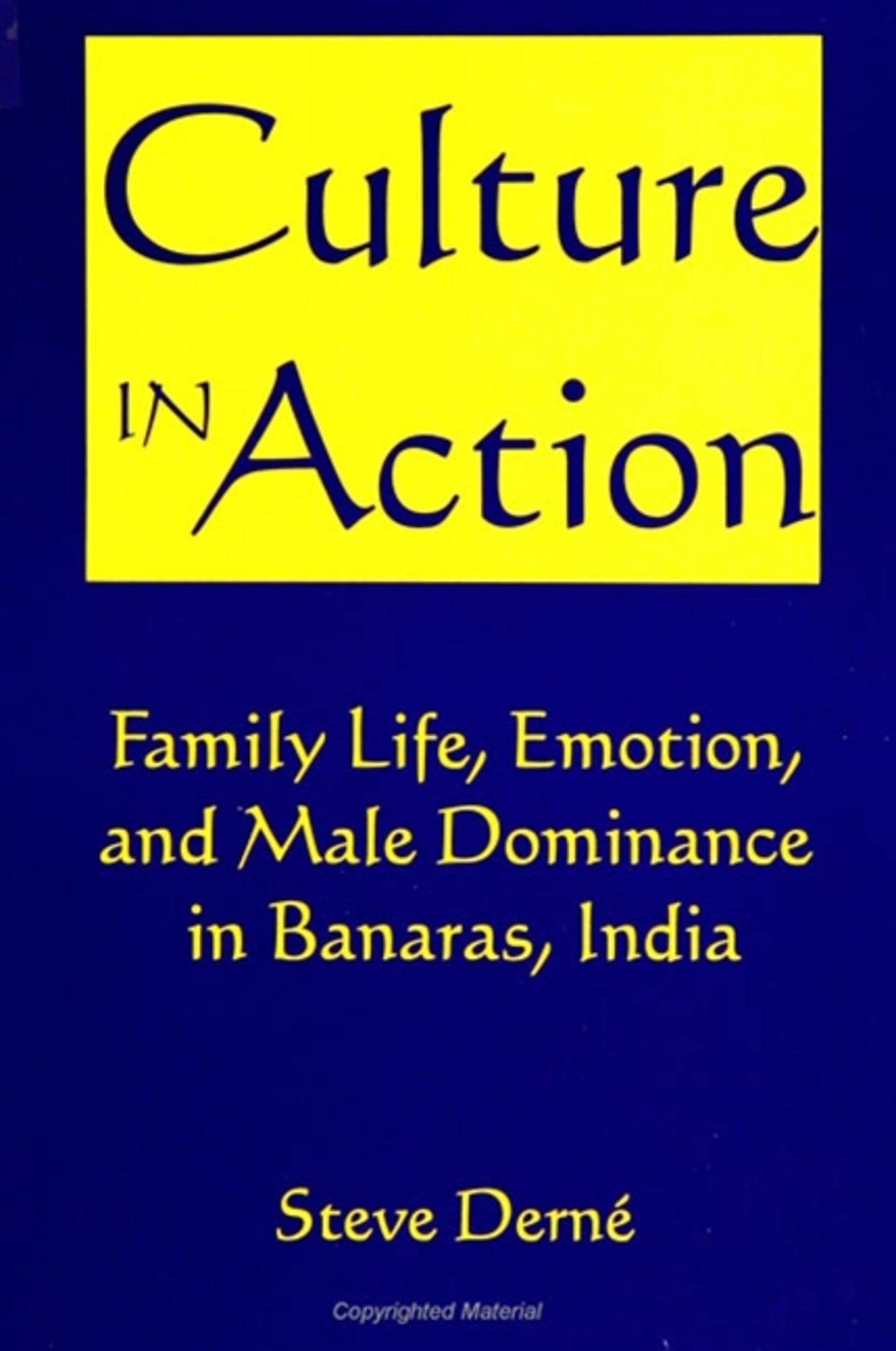 Cover image for Culture in Action ISBN 9780791424254
