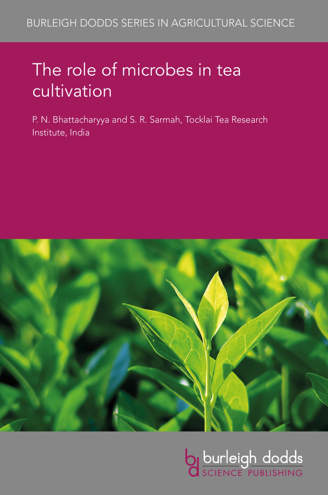 The role of microbes in tea cultivation