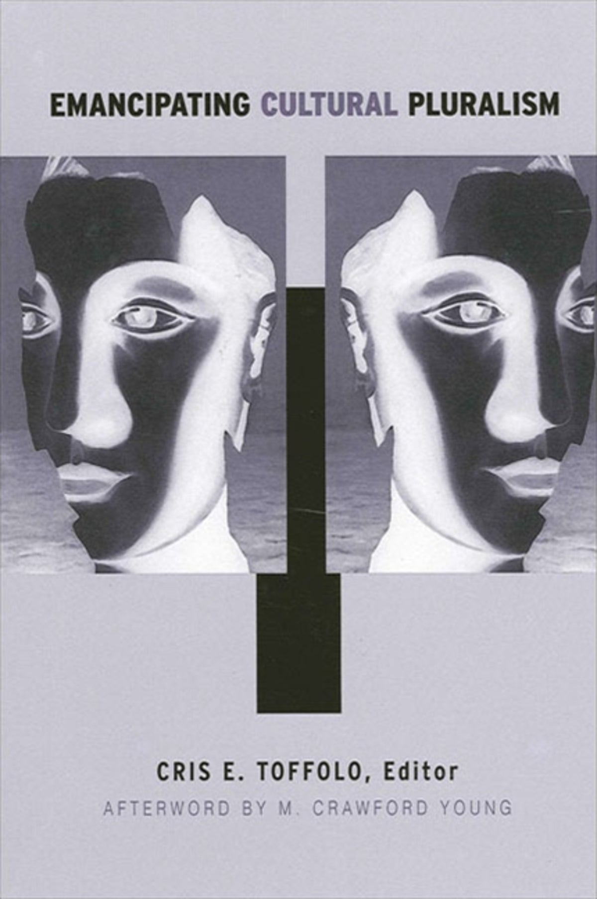 Cover image for Emancipating Cultural Pluralism ISBN 9780791455982