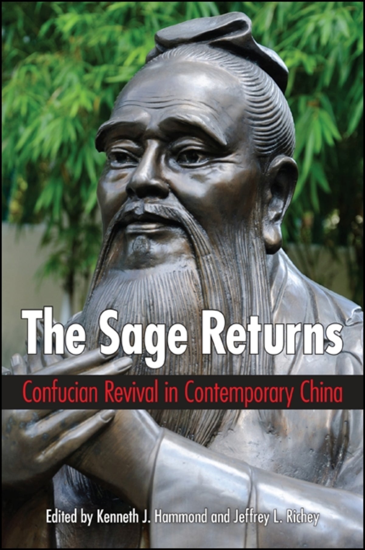 Cover image for The Sage Returns ISBN 9781438454924