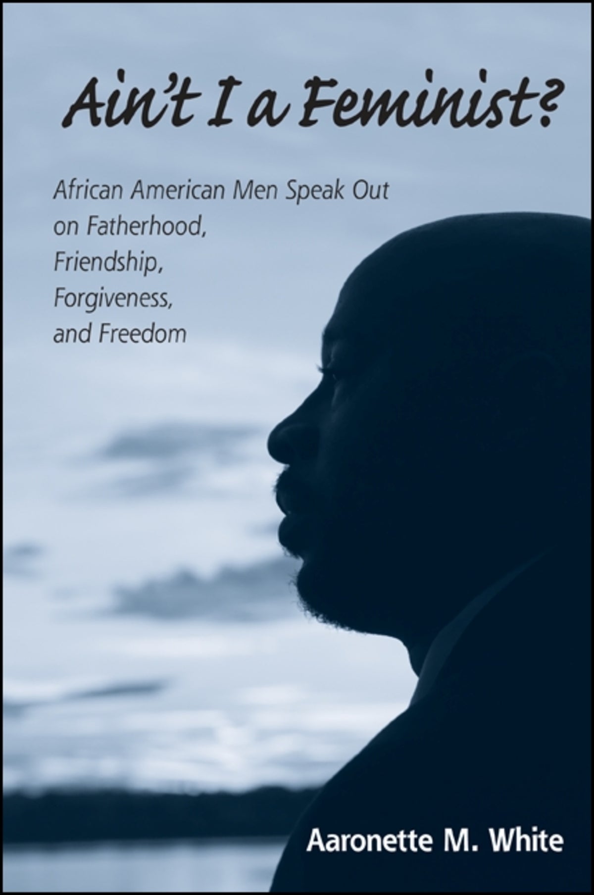 Cover image for Ain't I a Feminist? ISBN 9780791475676