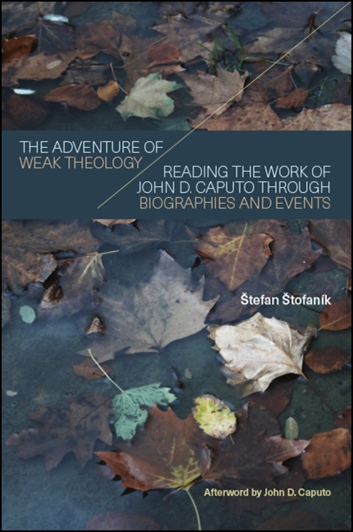 Cover image for The Adventure of Weak Theology ISBN 9781438471952