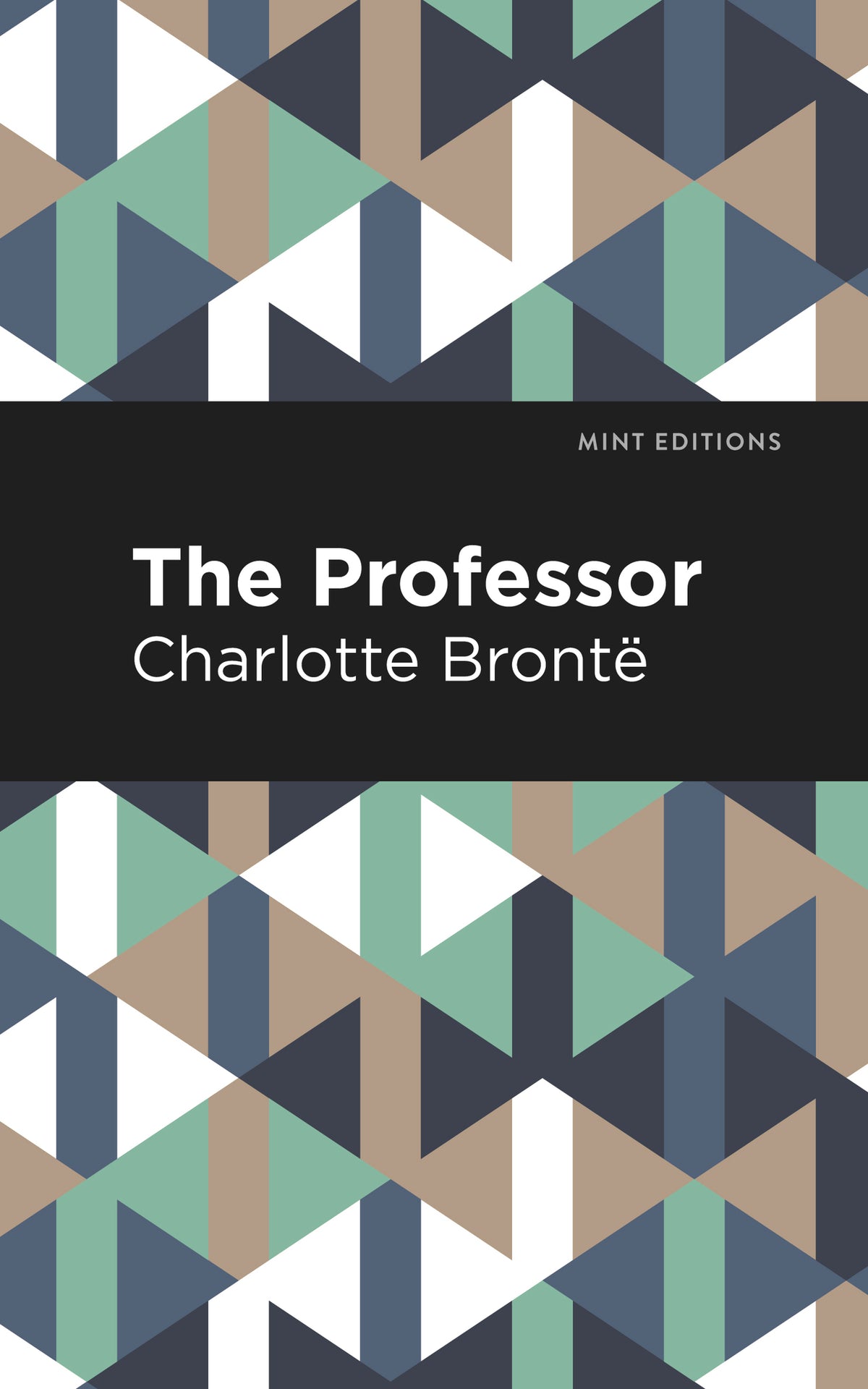 Cover image for The Professor ISBN 9781513268637