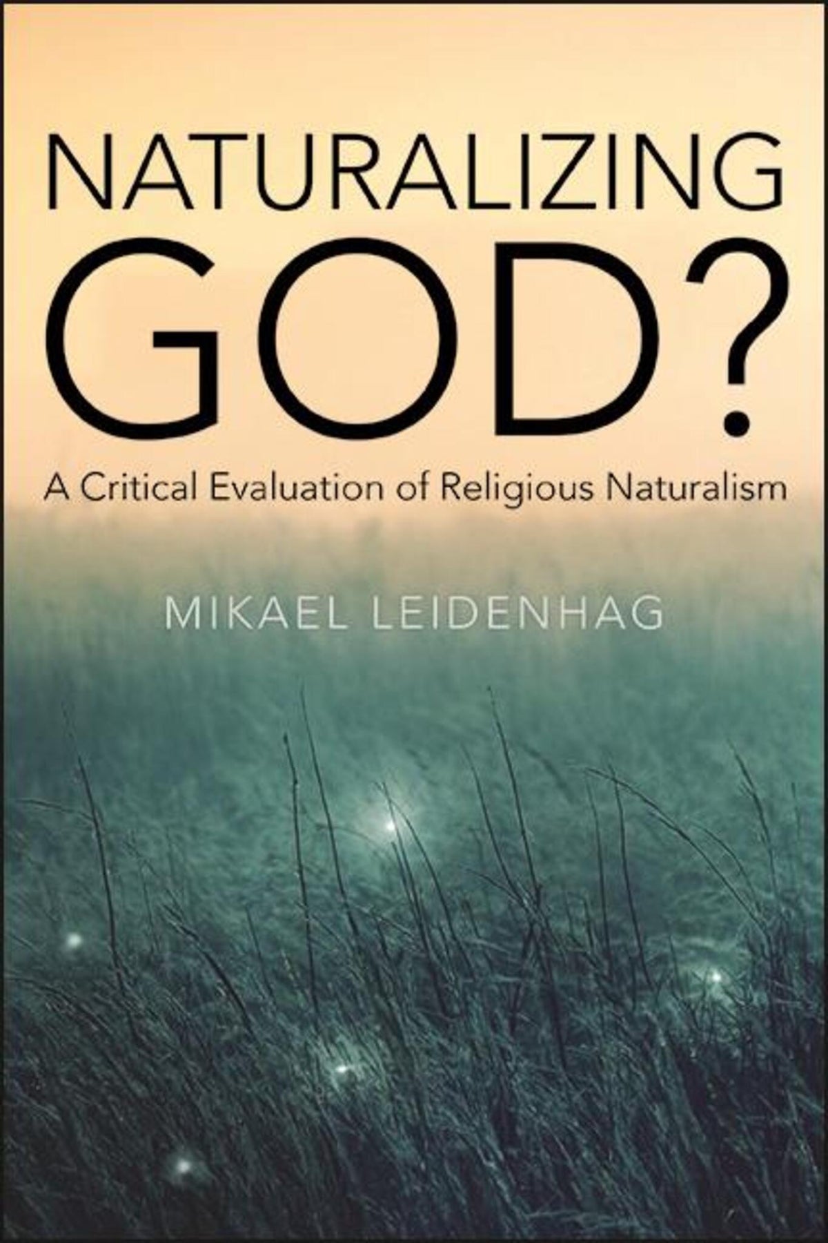 Cover image for Naturalizing God? ISBN 9781438484402