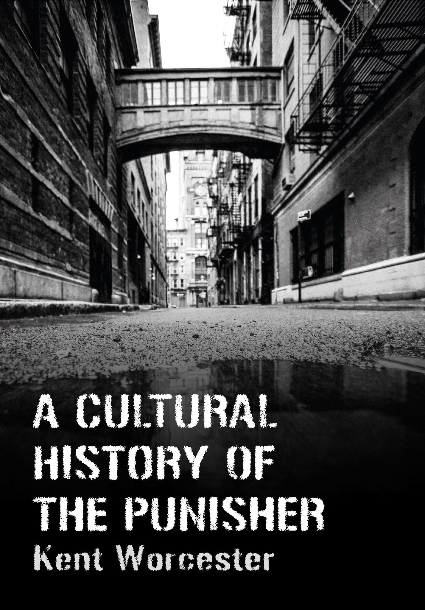 Cover image for A Cultural History of The Punisher ISBN 9781789388473
