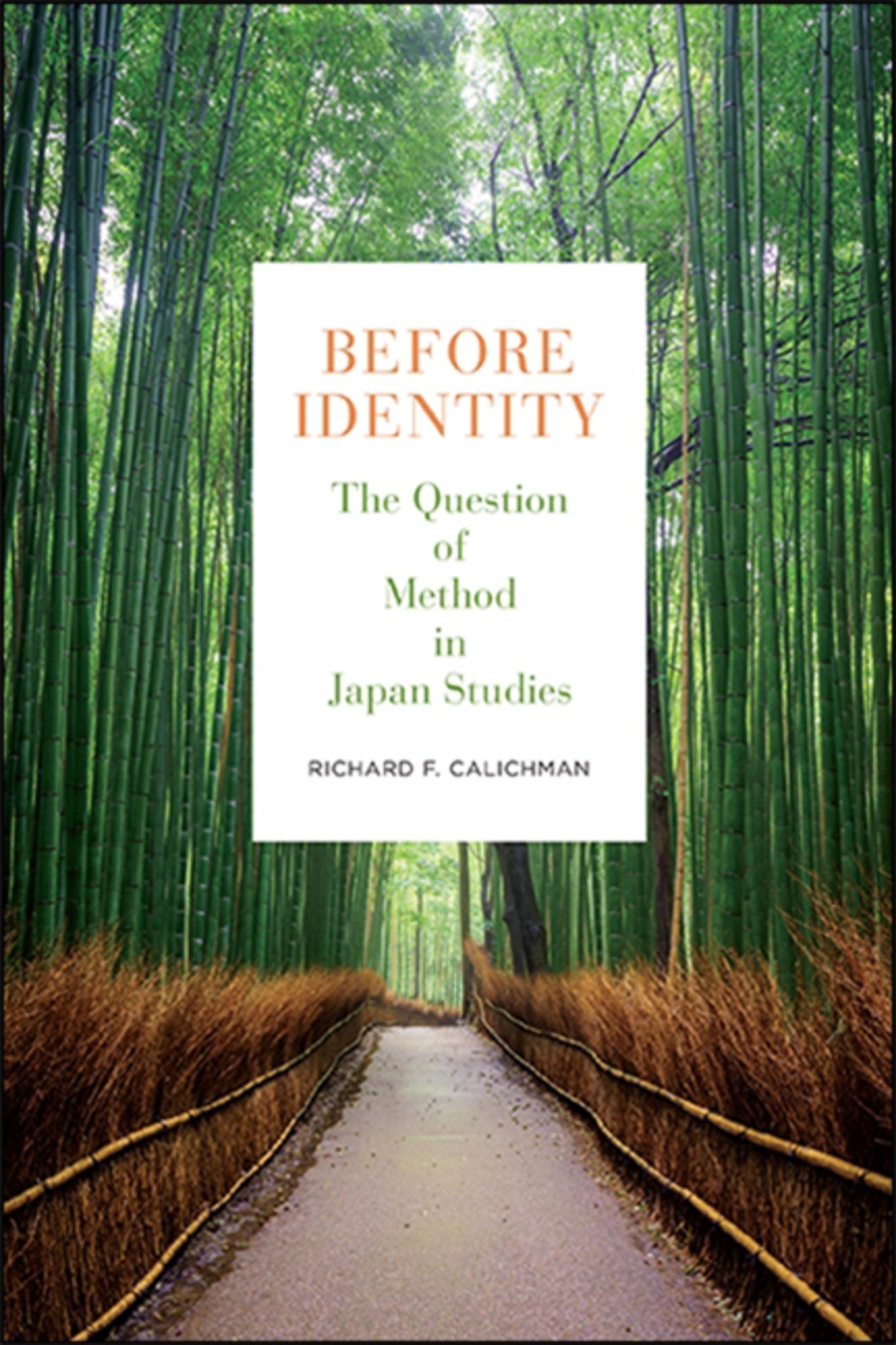 Cover image for Before Identity ISBN 9781438482149