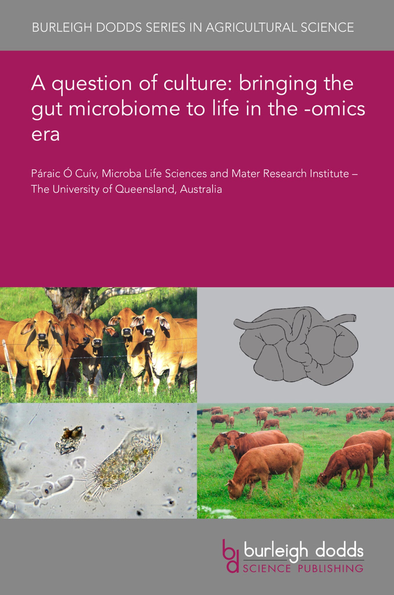 A question of culture: bringing the gut microbiome to life in the -omics era