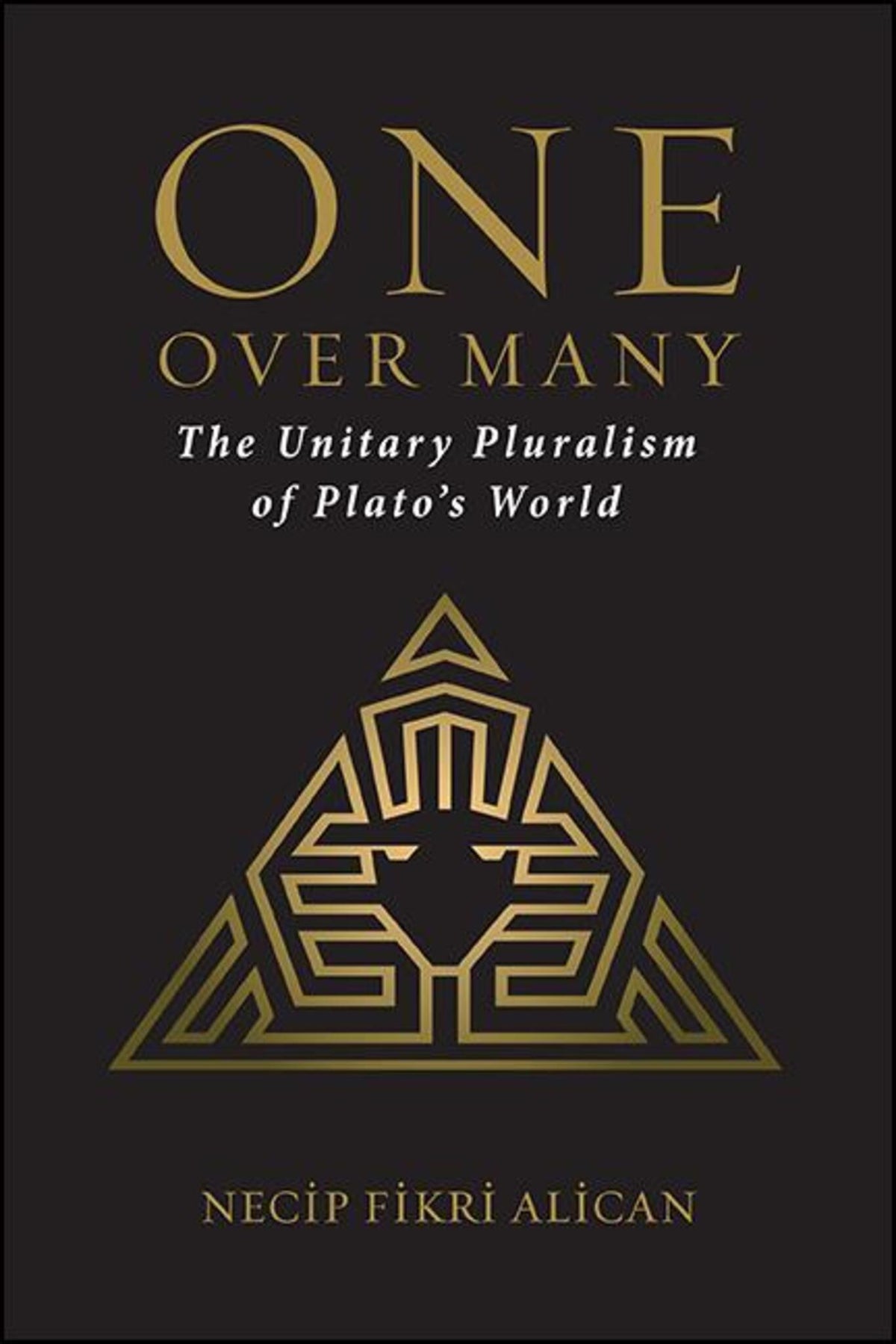 Cover image for One over Many ISBN 9781438485638