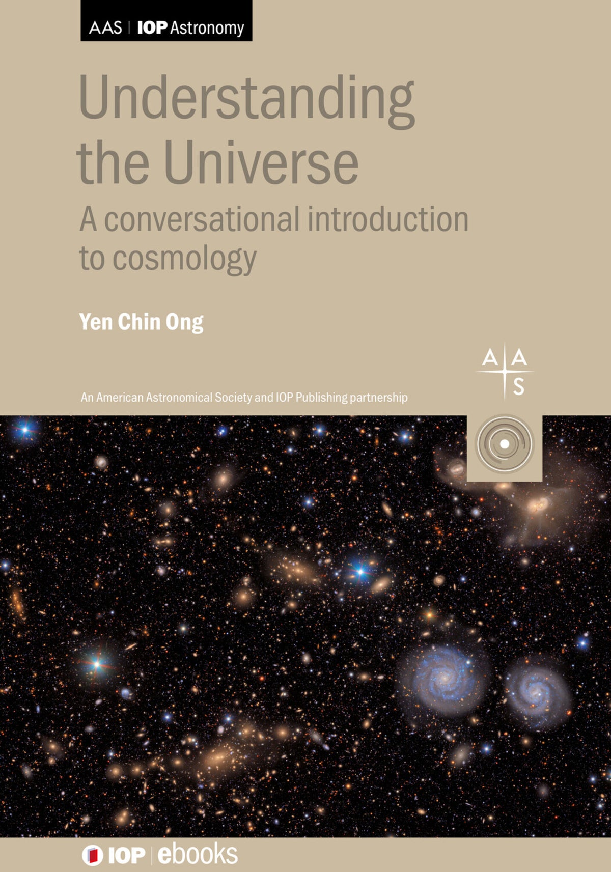 Cover image for Understanding the Universe ISBN 9780750362191