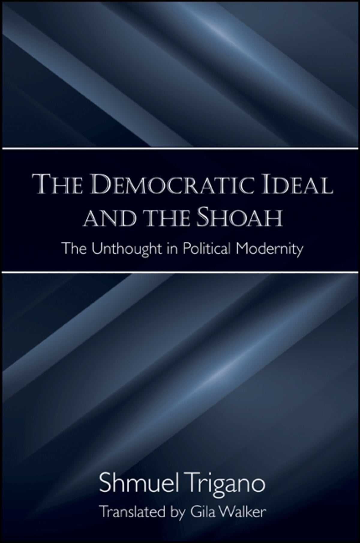 Cover image for The Democratic Ideal and the Shoah ISBN 9781438426297