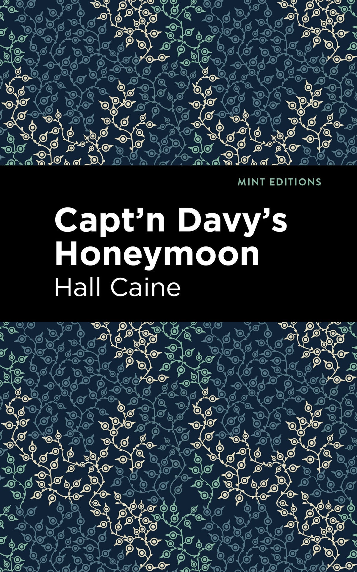 Cover image for Capt'n Davy's Honeymoon ISBN 9798888972793