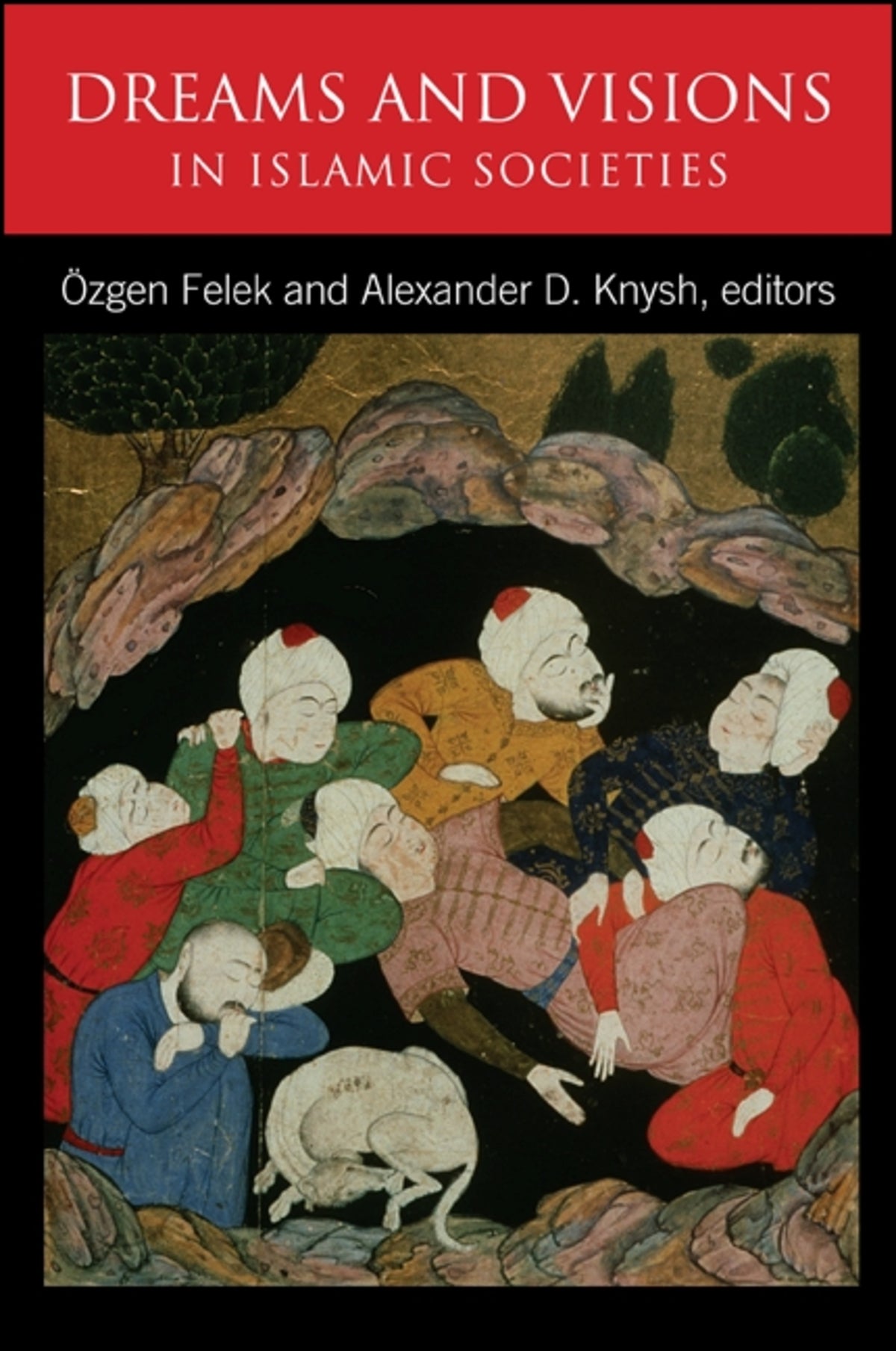 Cover image for Dreams and Visions in Islamic Societies ISBN 9781438439945
