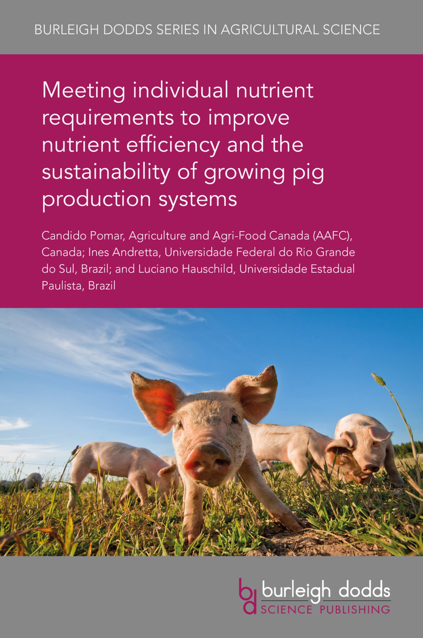 Meeting individual nutrient requirements to improve nutrient efficiency and the sustainability of growing pig production systems
