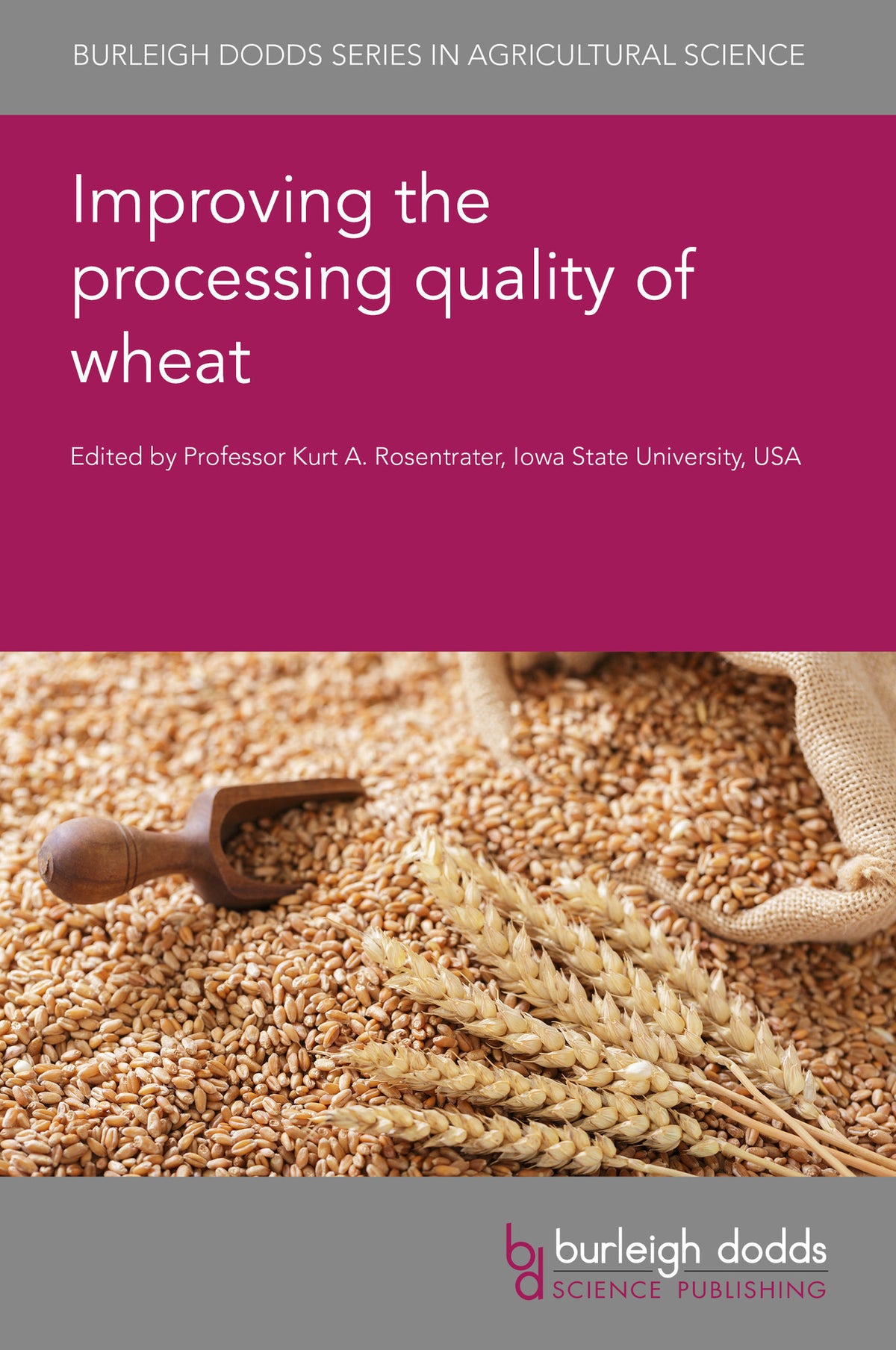 Cover image for Improving the processing quality of wheat ISBN 9781835453537