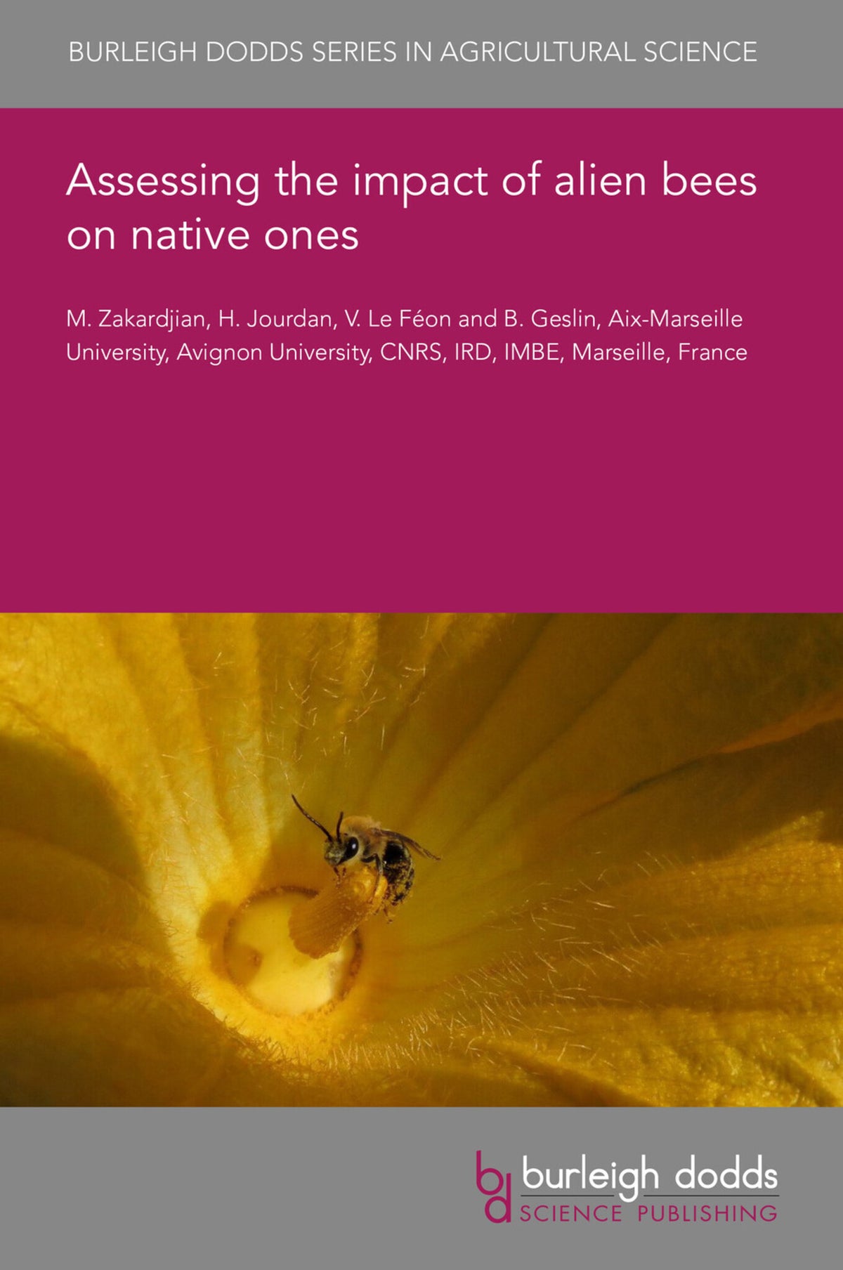 Cover image for Assessing the impact of alien bees on native ones ISBN 9781801467537