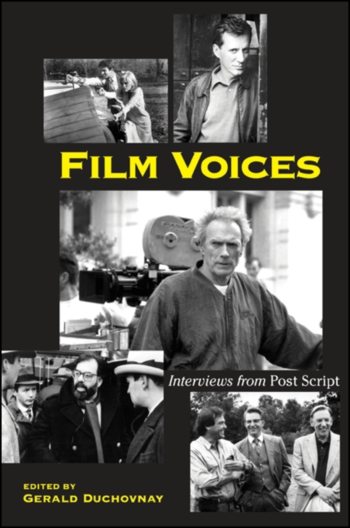 Cover image for Film Voices ISBN 9780791461563