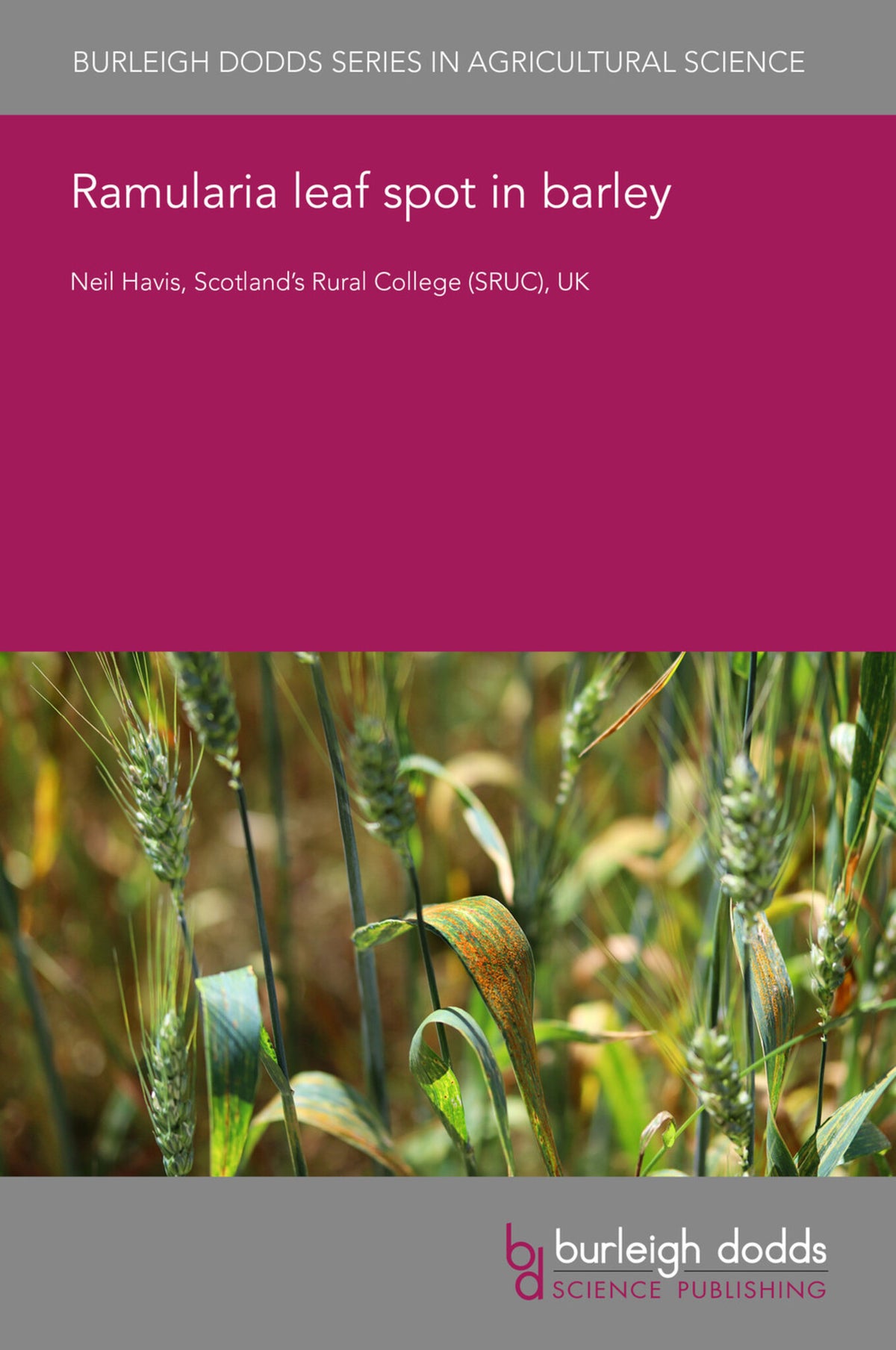 Ramularia leaf spot in barley
