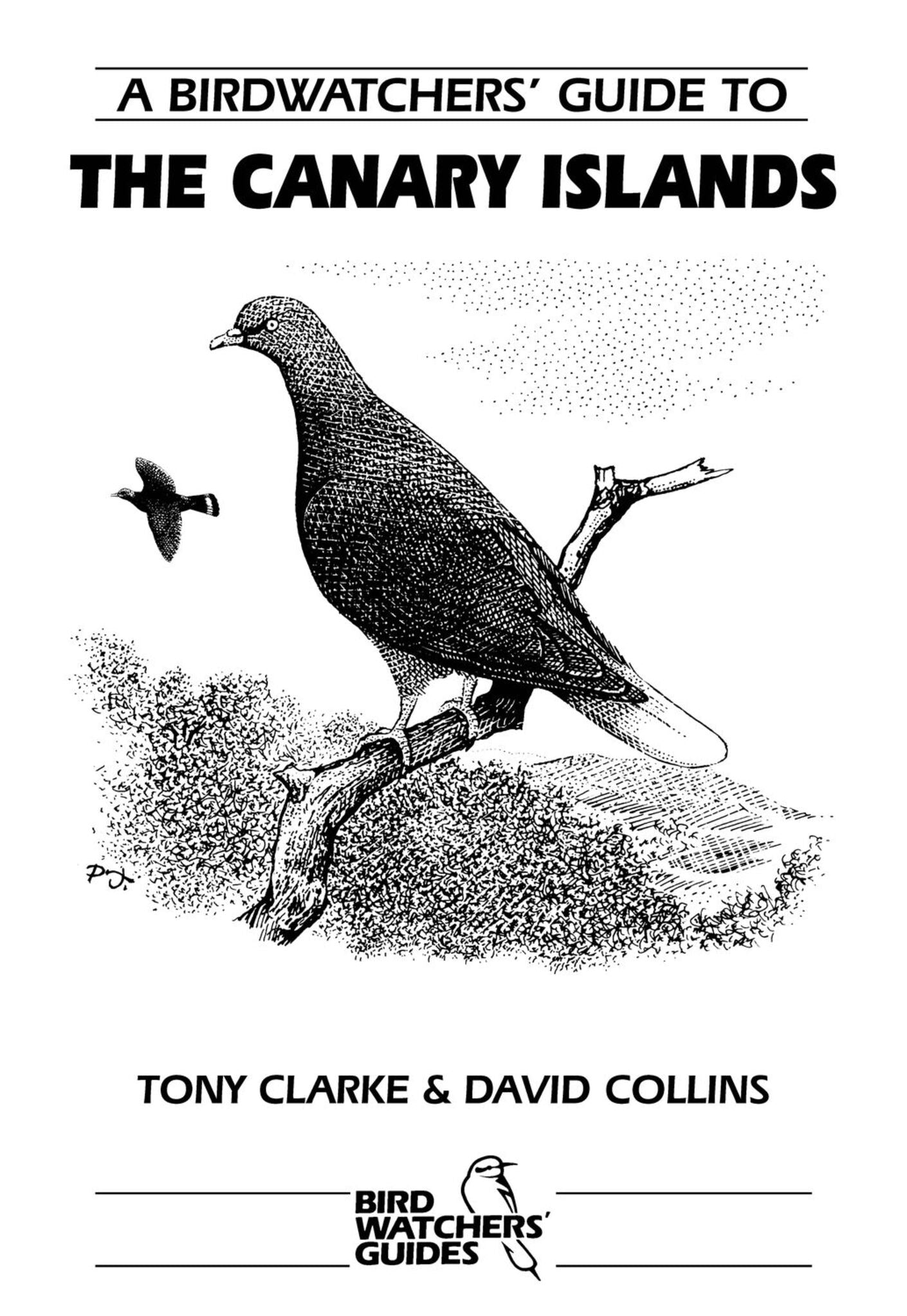 A Birdwatchers’ Guide to the Canary Islands